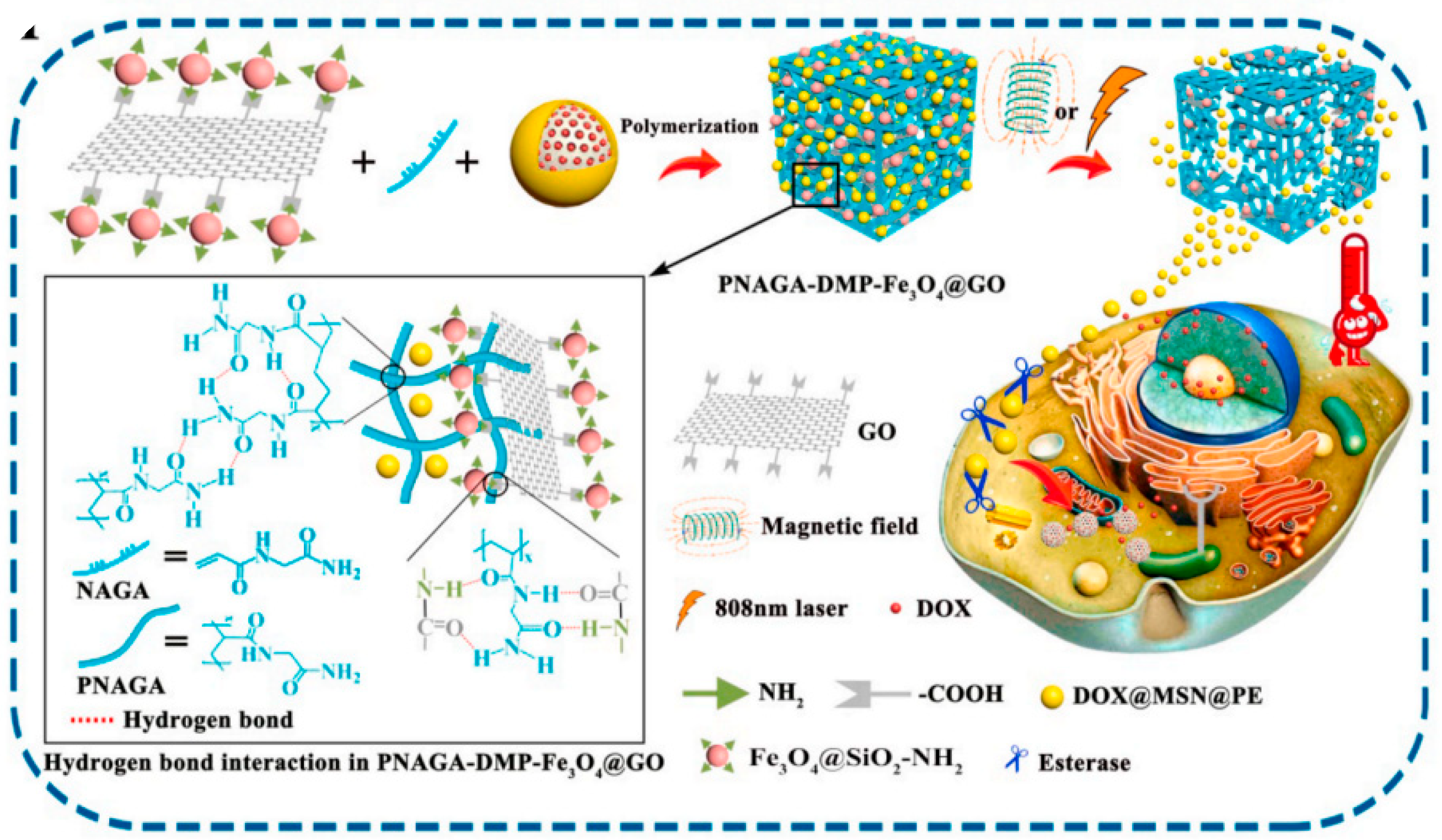 Gels 09 00207 g005 Gels 09 00207 g005