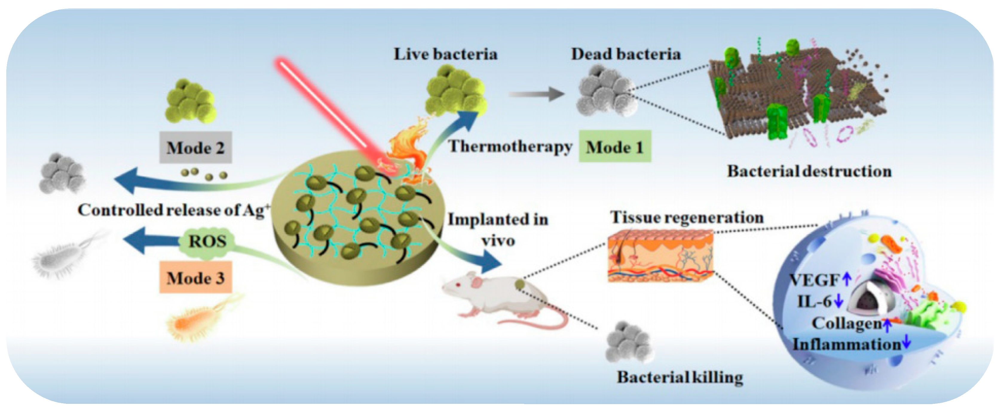Gels 09 00207 g007 Gels 09 00207 g007
