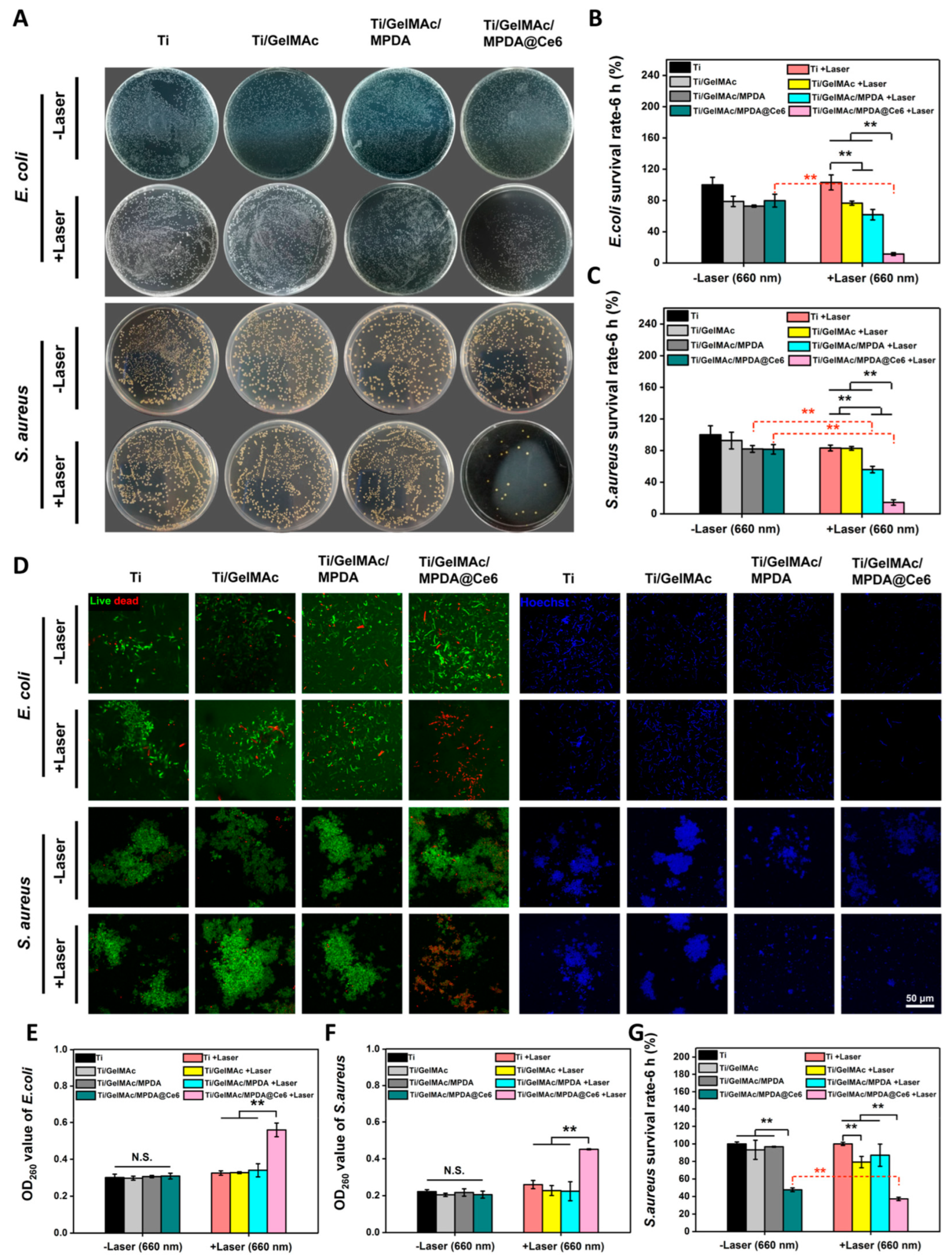 Gels 09 00207 g008 Gels 09 00207 g008