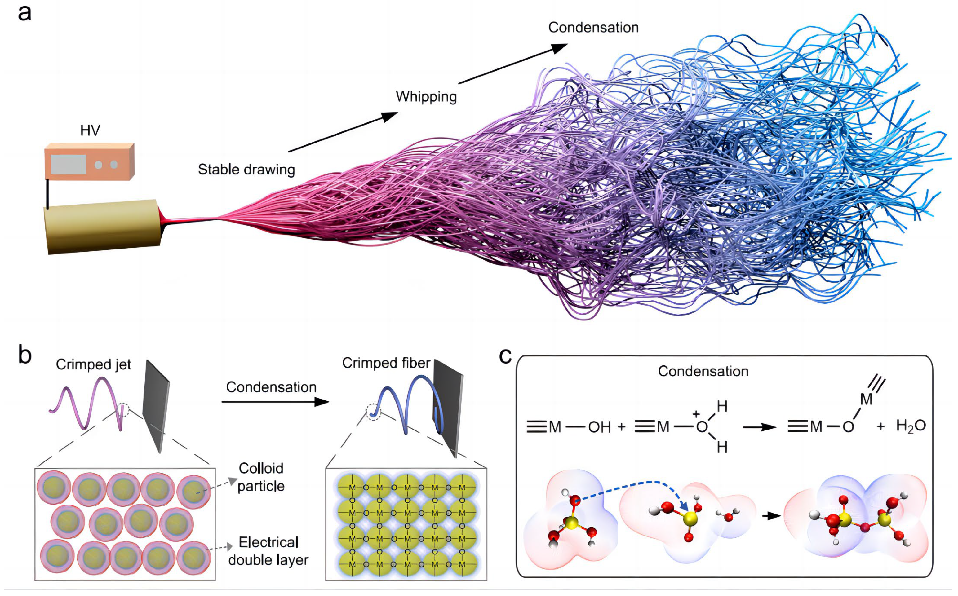 Gels 09 00208 g008 Gels 09 00208 g008