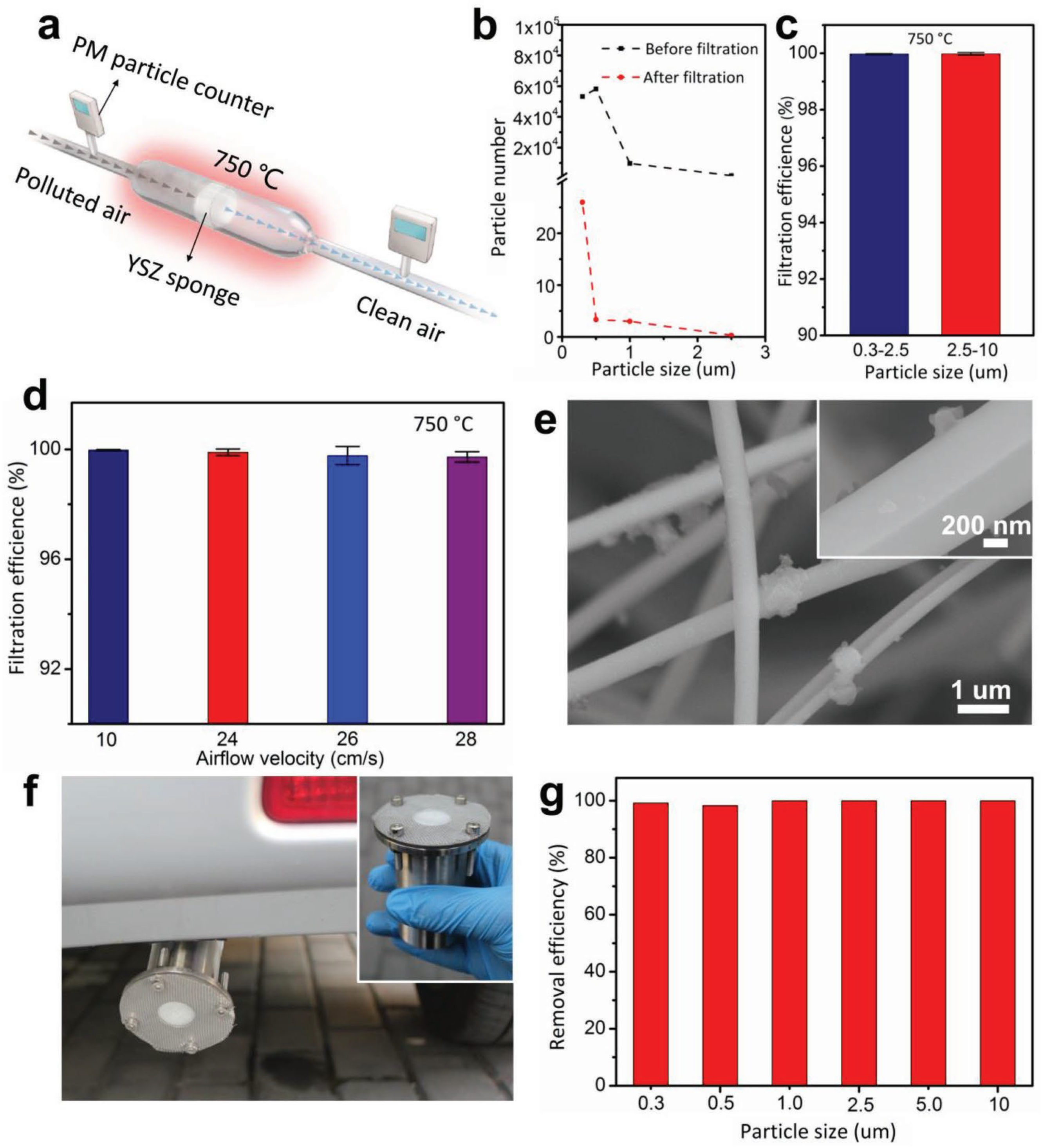Gels 09 00208 g021 Gels 09 00208 g021