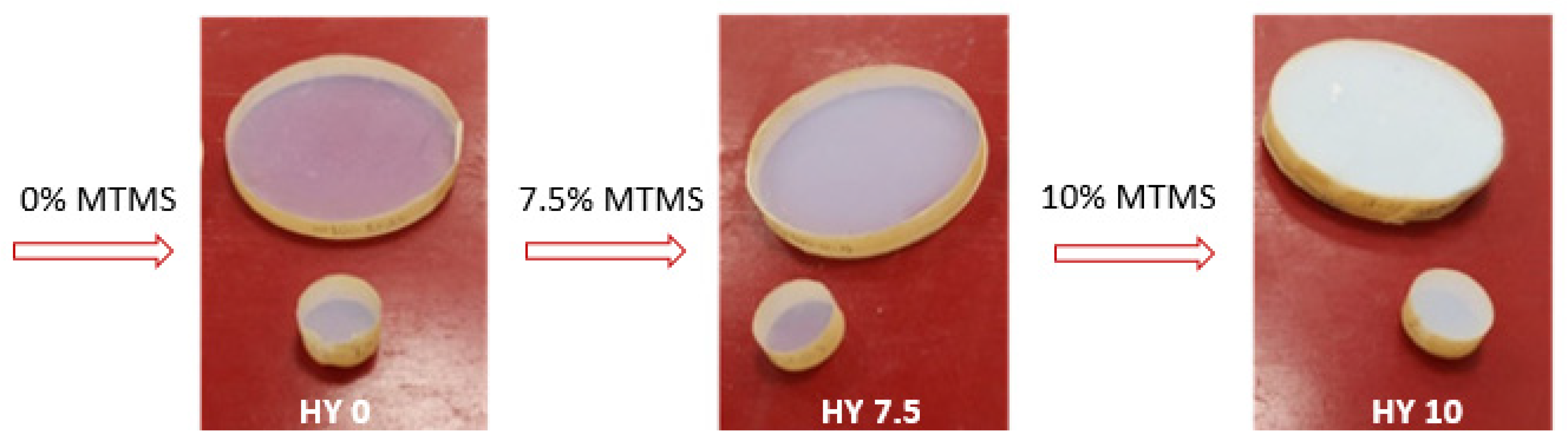 Gels 09 00210 g001 Gels 09 00210 g001