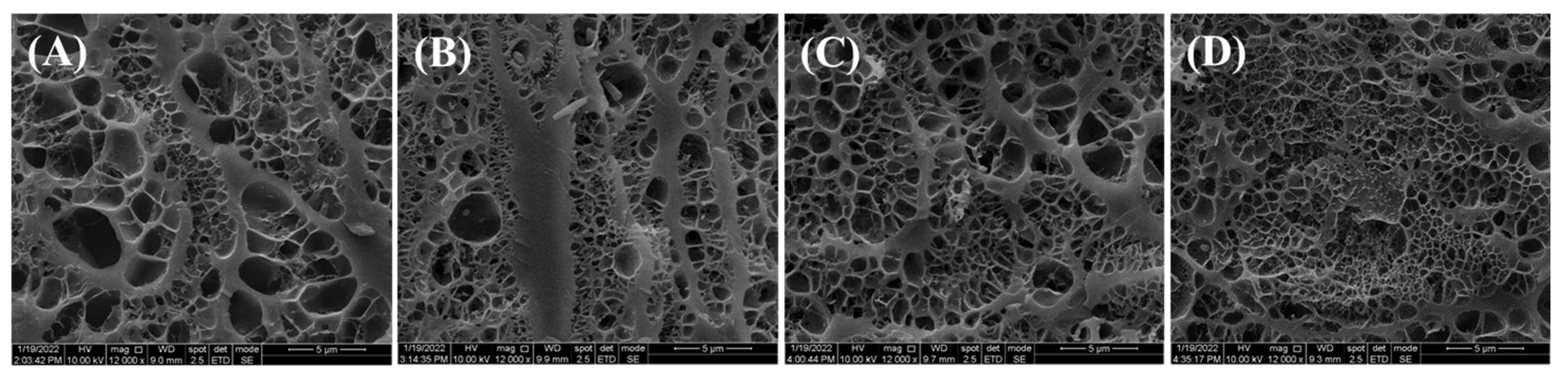 Gels 09 00215 g004 Gels 09 00215 g004
