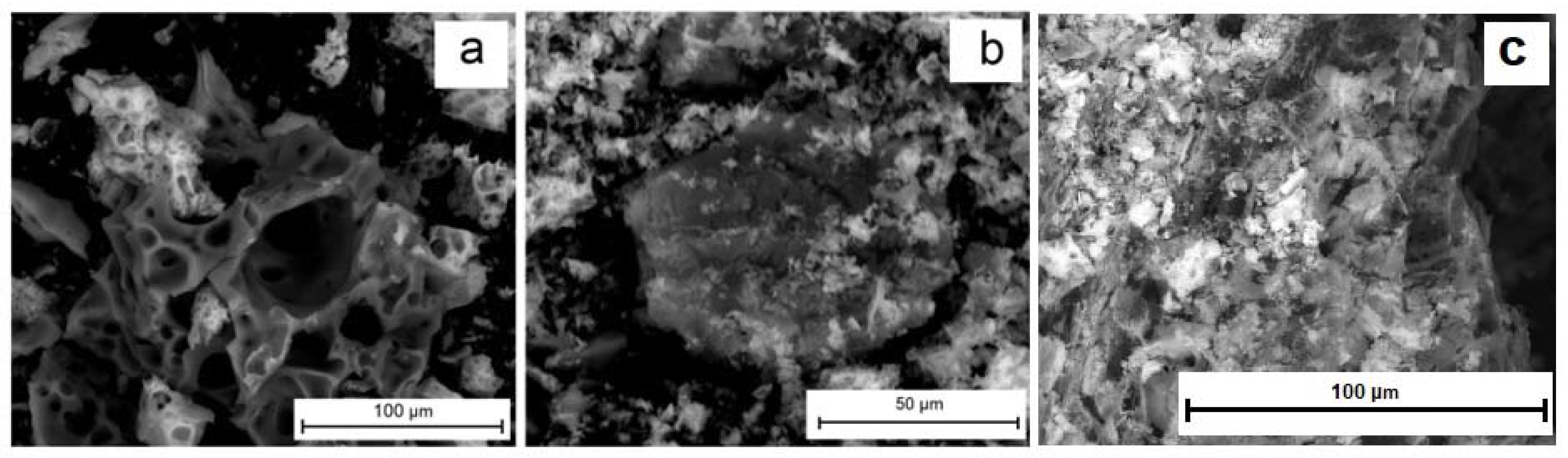 Gels 09 00217 g002 550