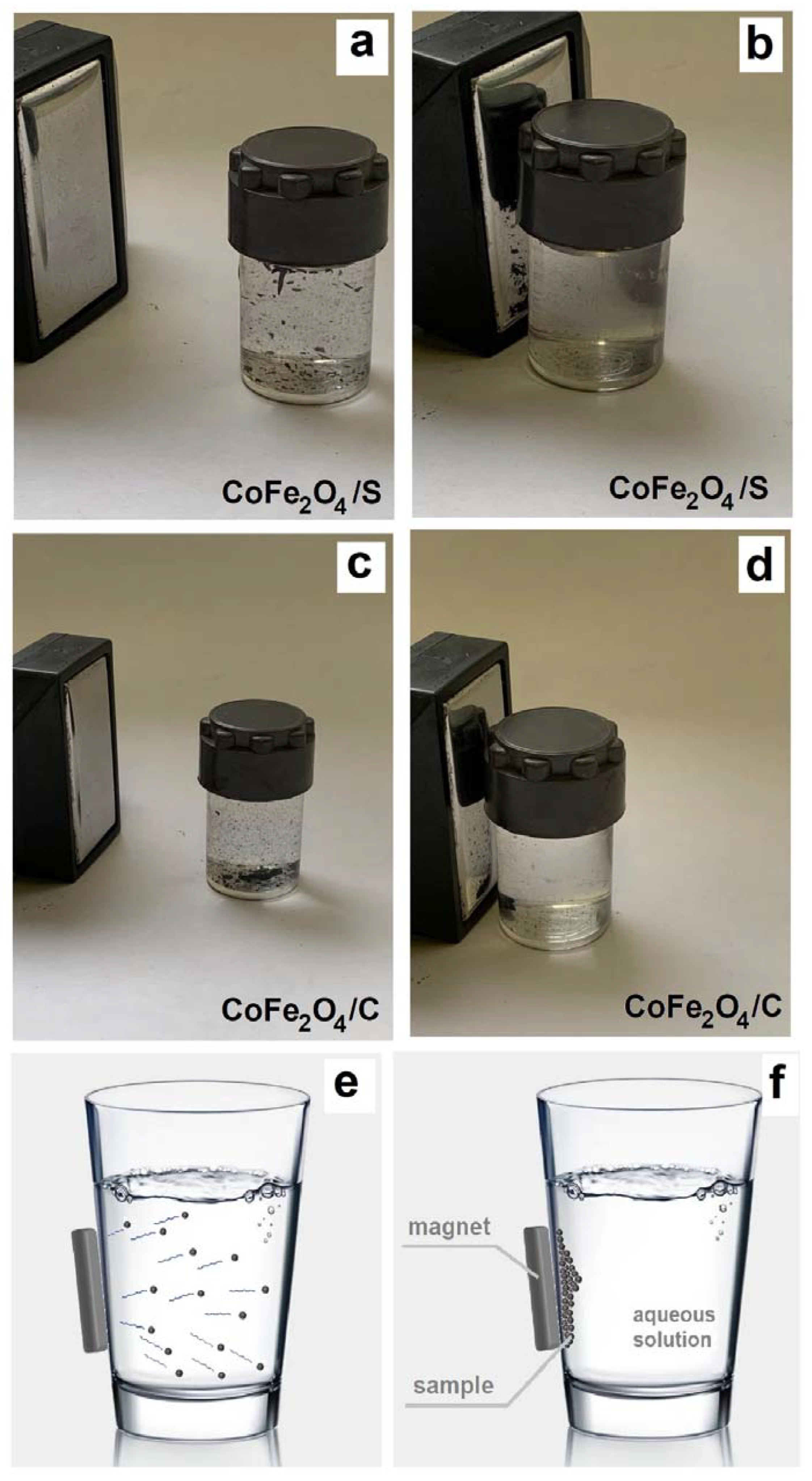 Gels 09 00217 g007 550