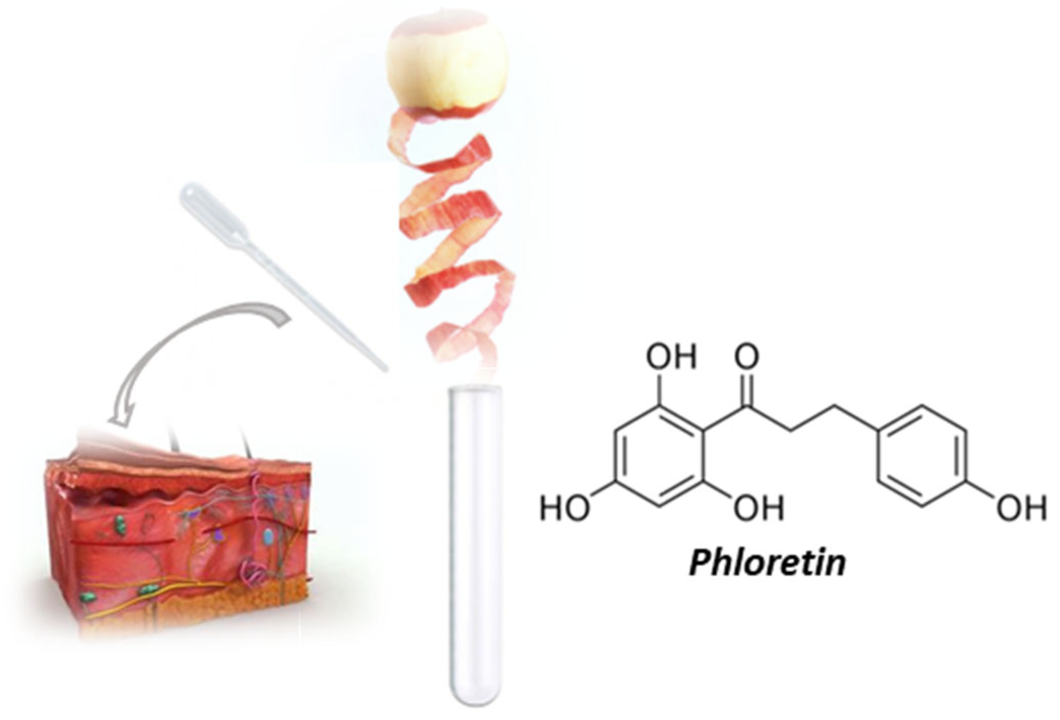 Gels 09 00226 g001 Gels 09 00226 g001