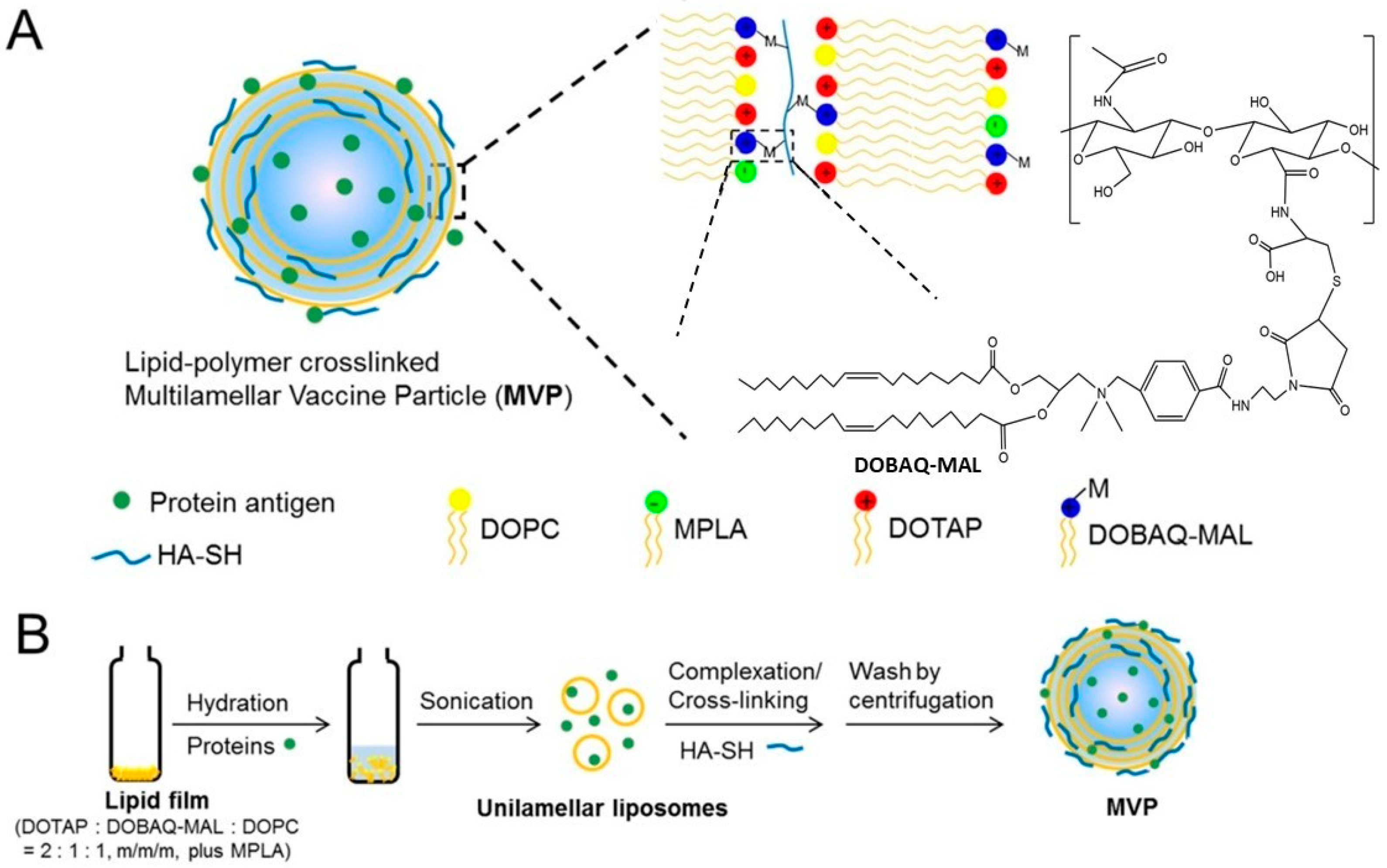Gels 09 00227 g003 Gels 09 00227 g003
