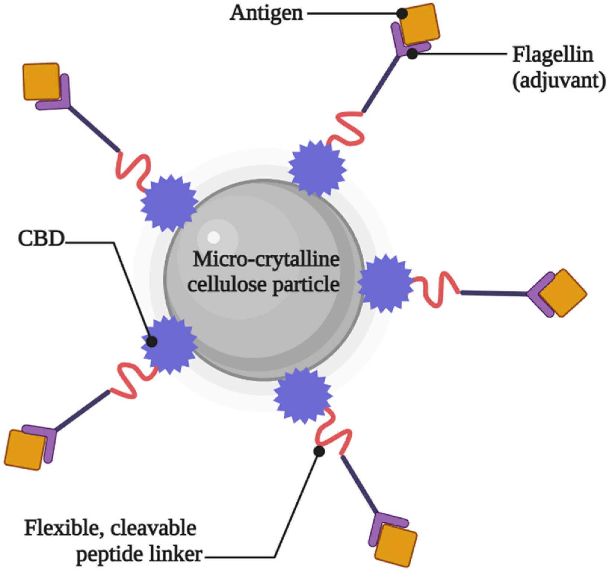Gels 09 00227 g004 Gels 09 00227 g004