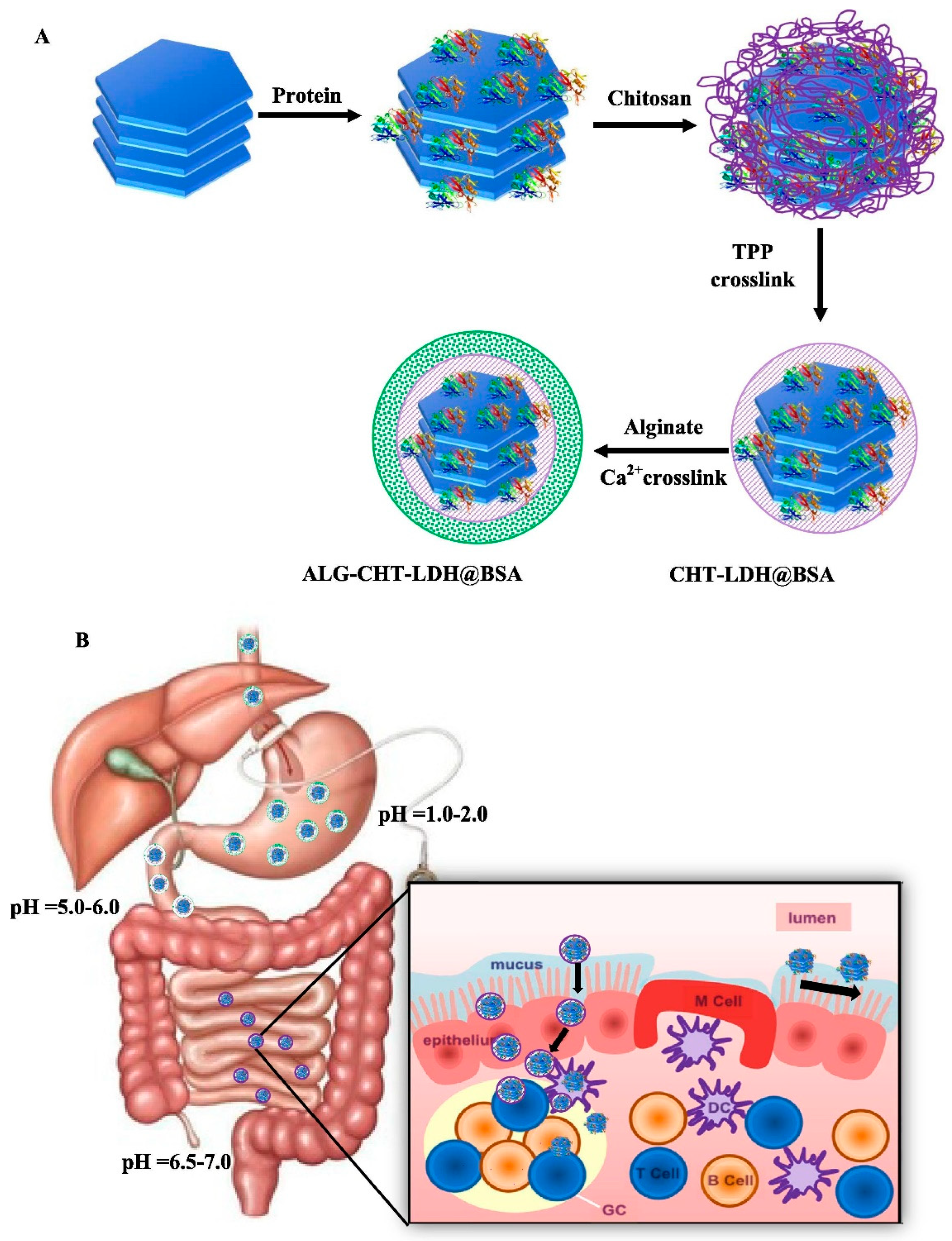Gels 09 00227 g005 Gels 09 00227 g005
