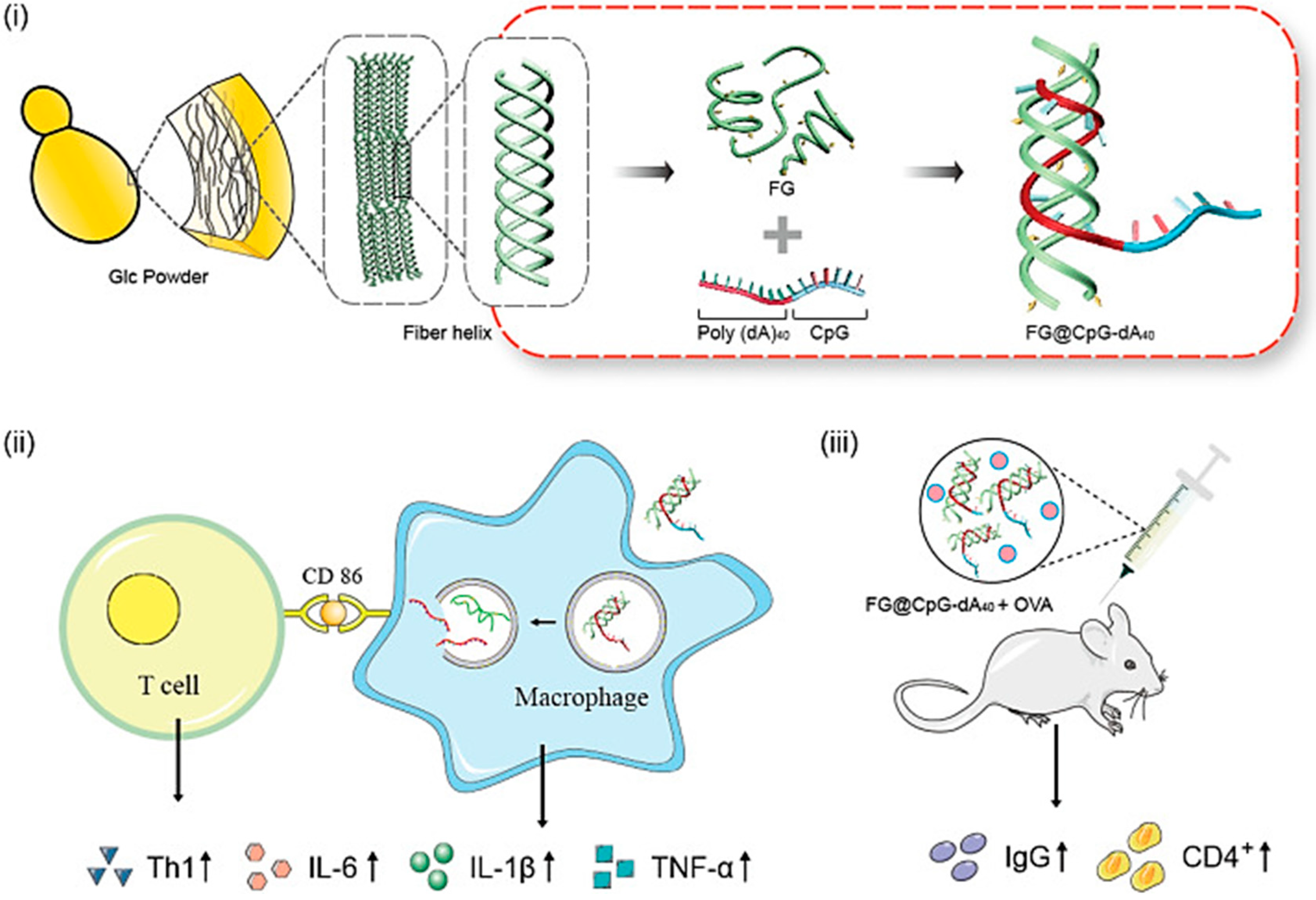 Gels 09 00227 g007 Gels 09 00227 g007