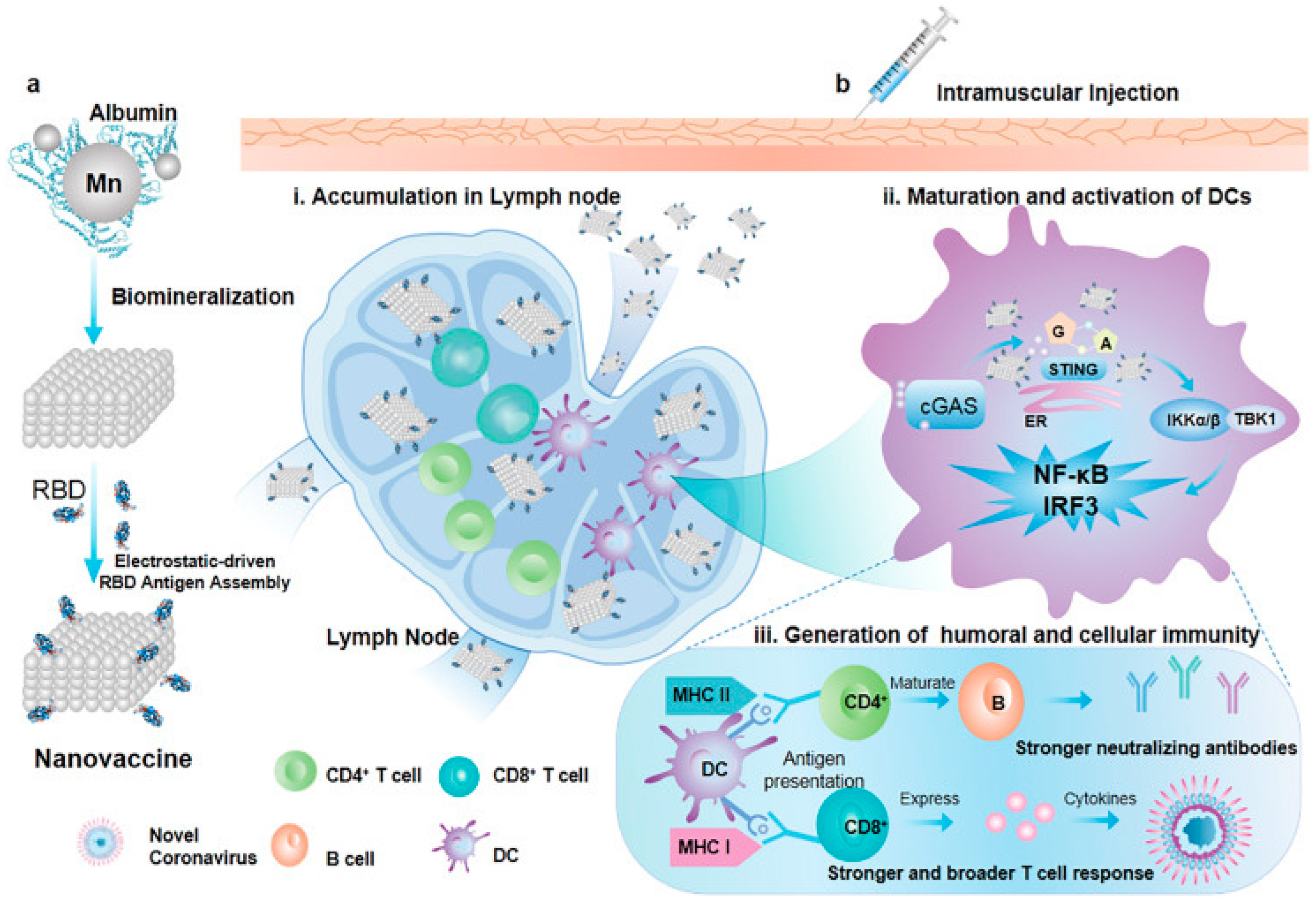 Gels 09 00227 g008 Gels 09 00227 g008