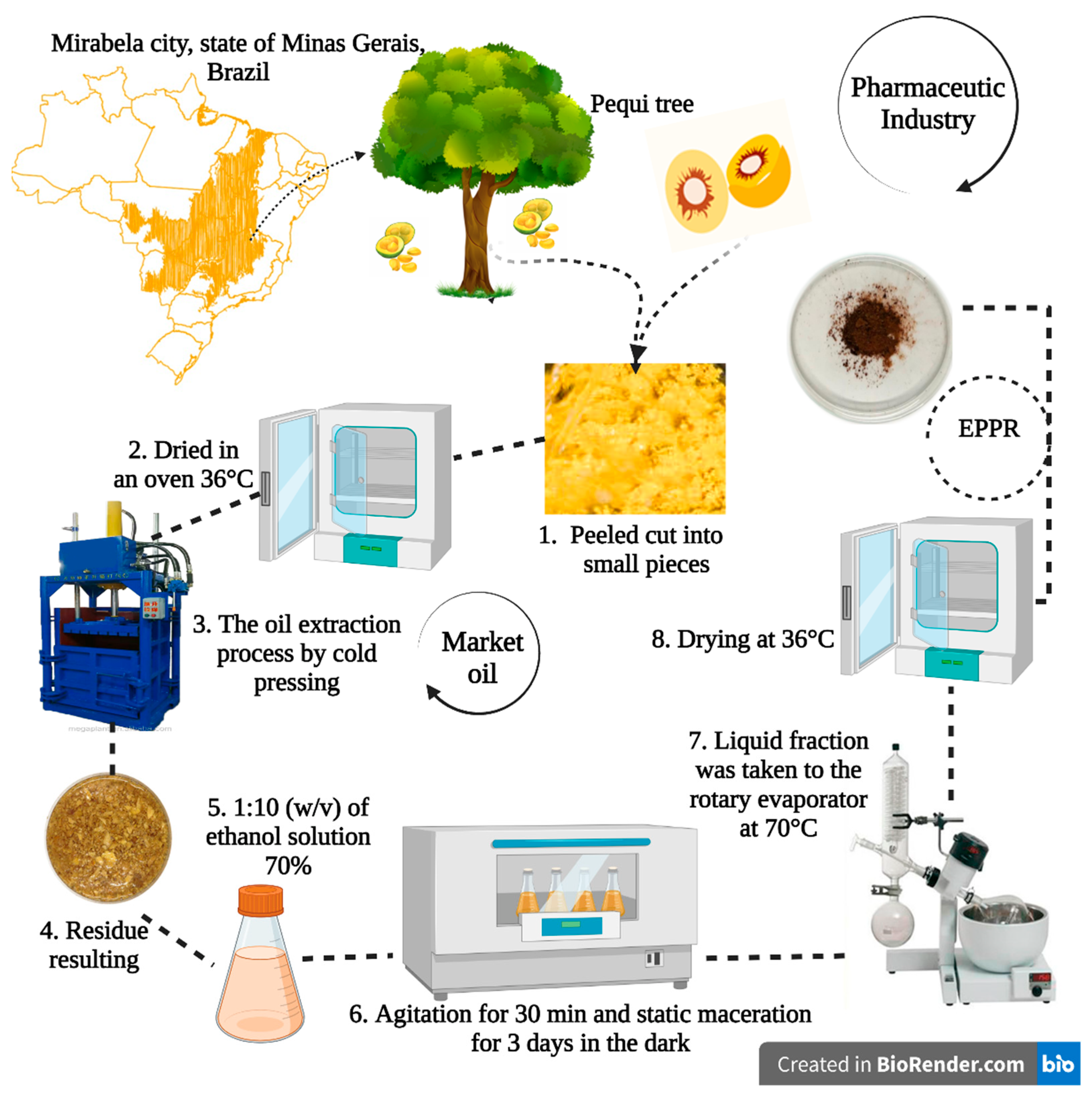 Gels 09 00234 g009 Gels 09 00234 g009