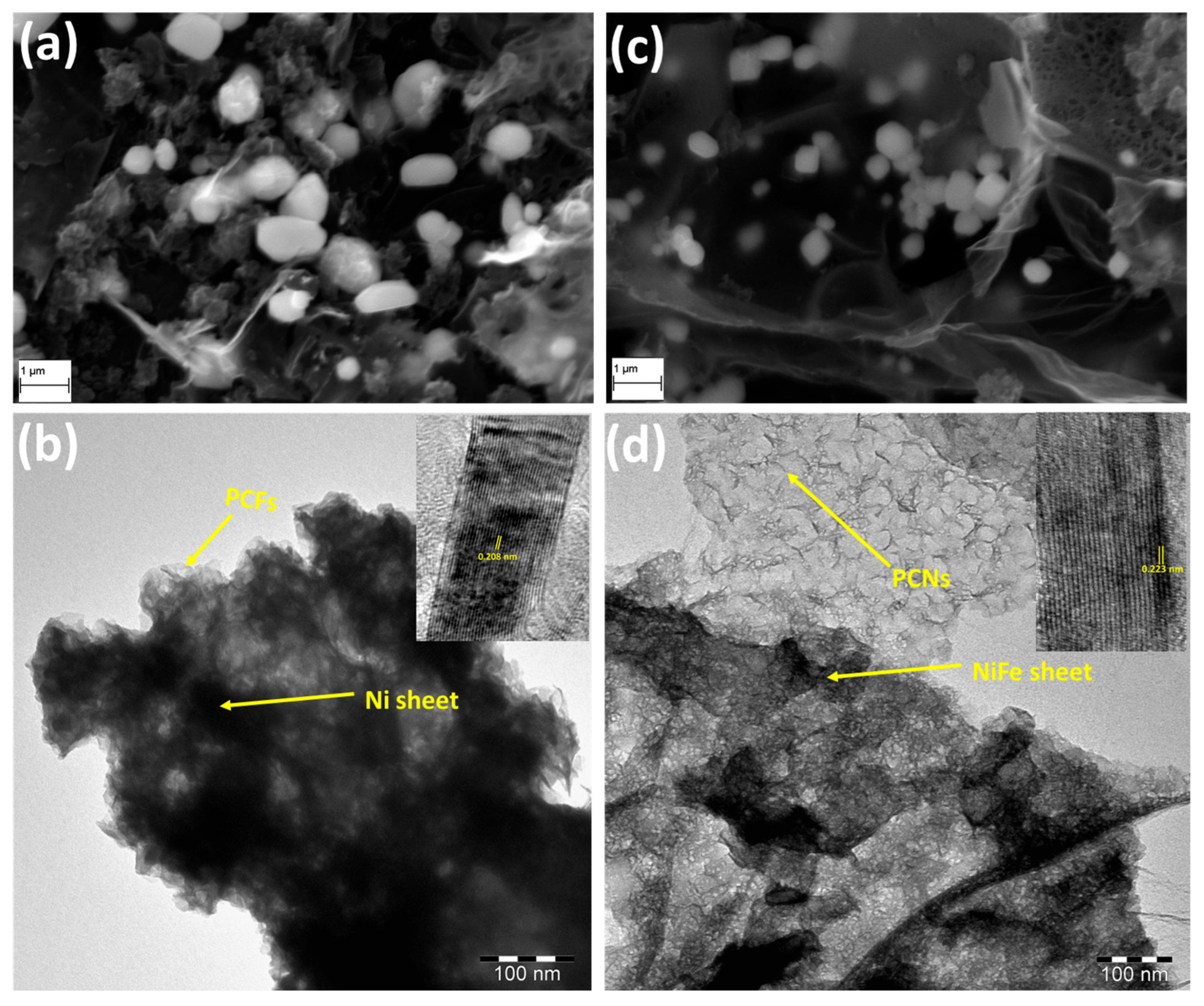 Gels 09 00238 g001 Gels 09 00238 g001