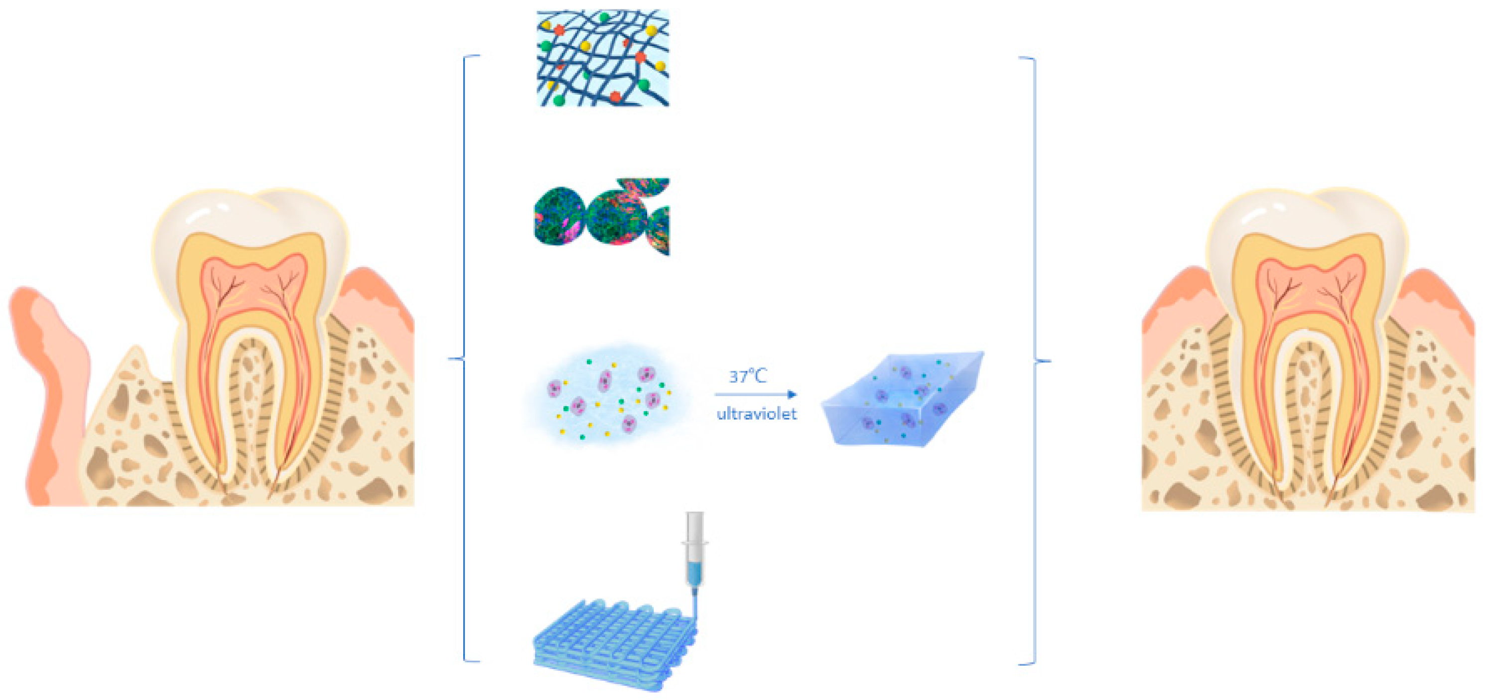 Gels 09 00245 g003 Gels 09 00245 g003