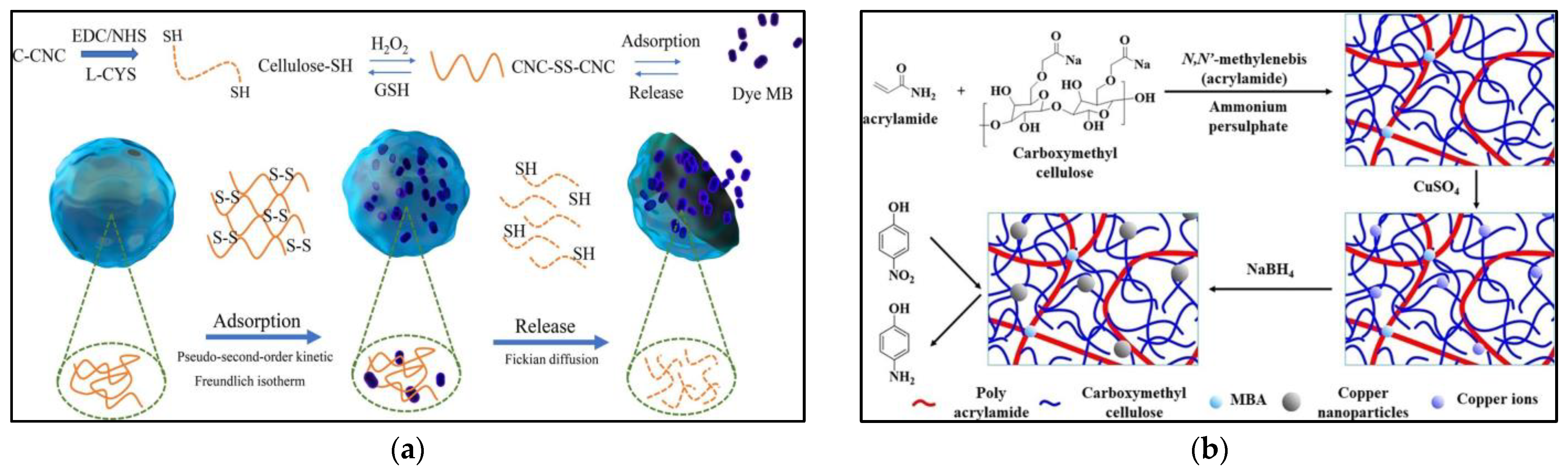 Gels 09 00249 g001 550