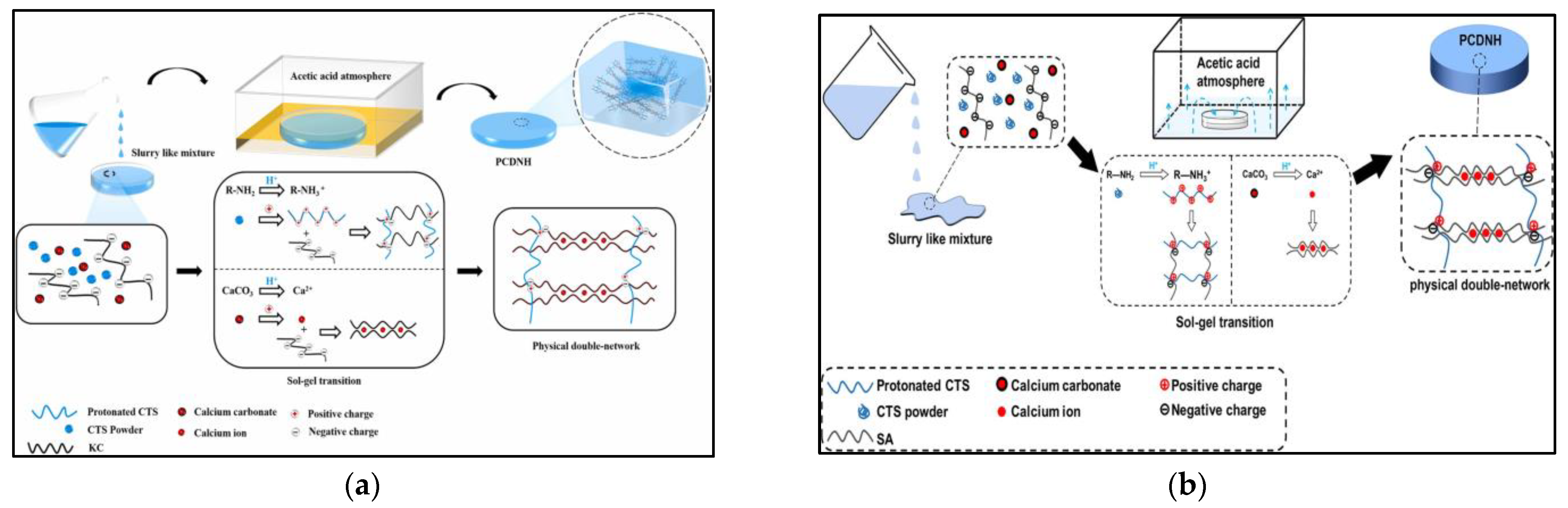 Gels 09 00249 g002 550