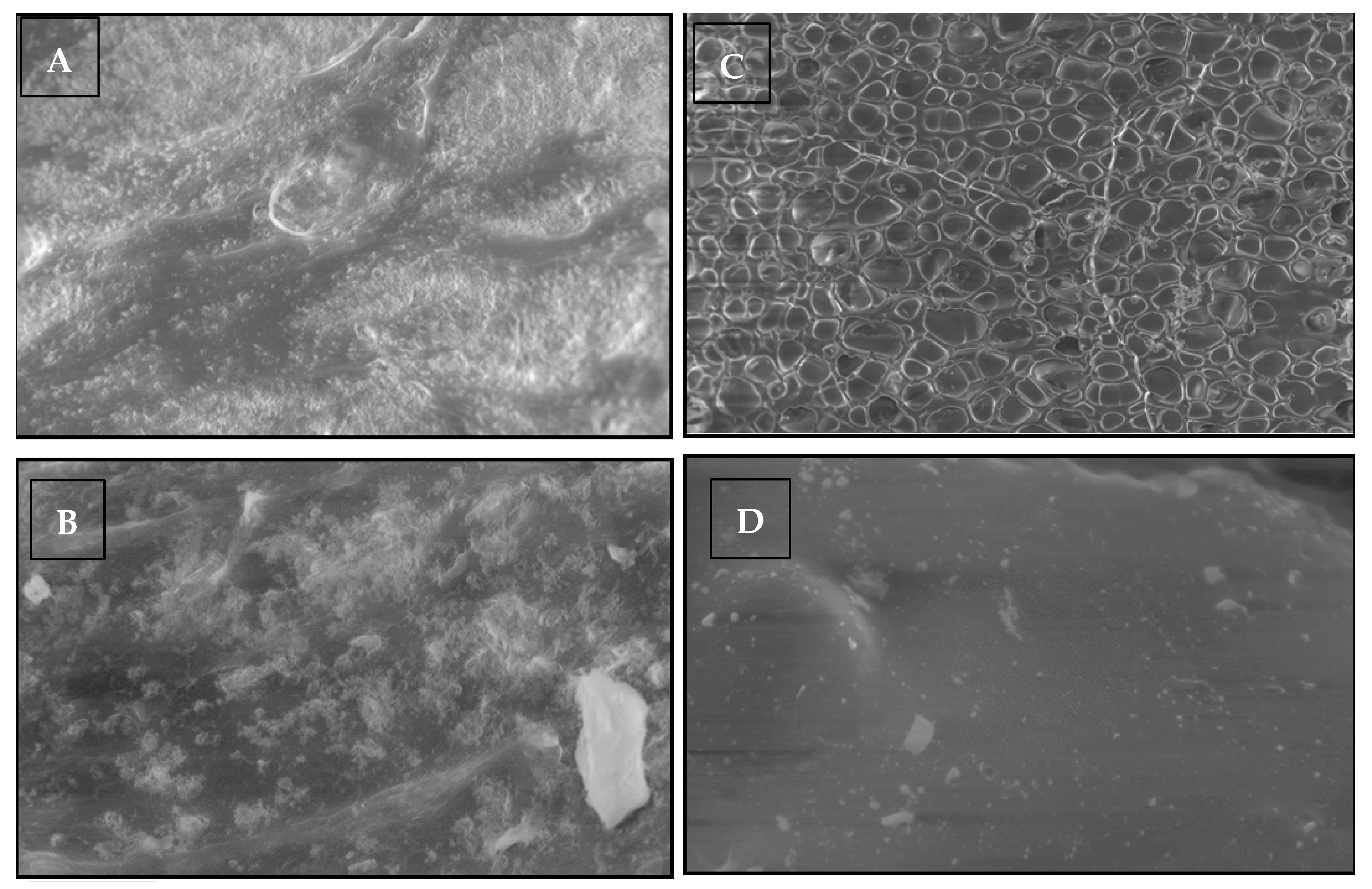 Gels 09 00252 g007 Gels 09 00252 g007