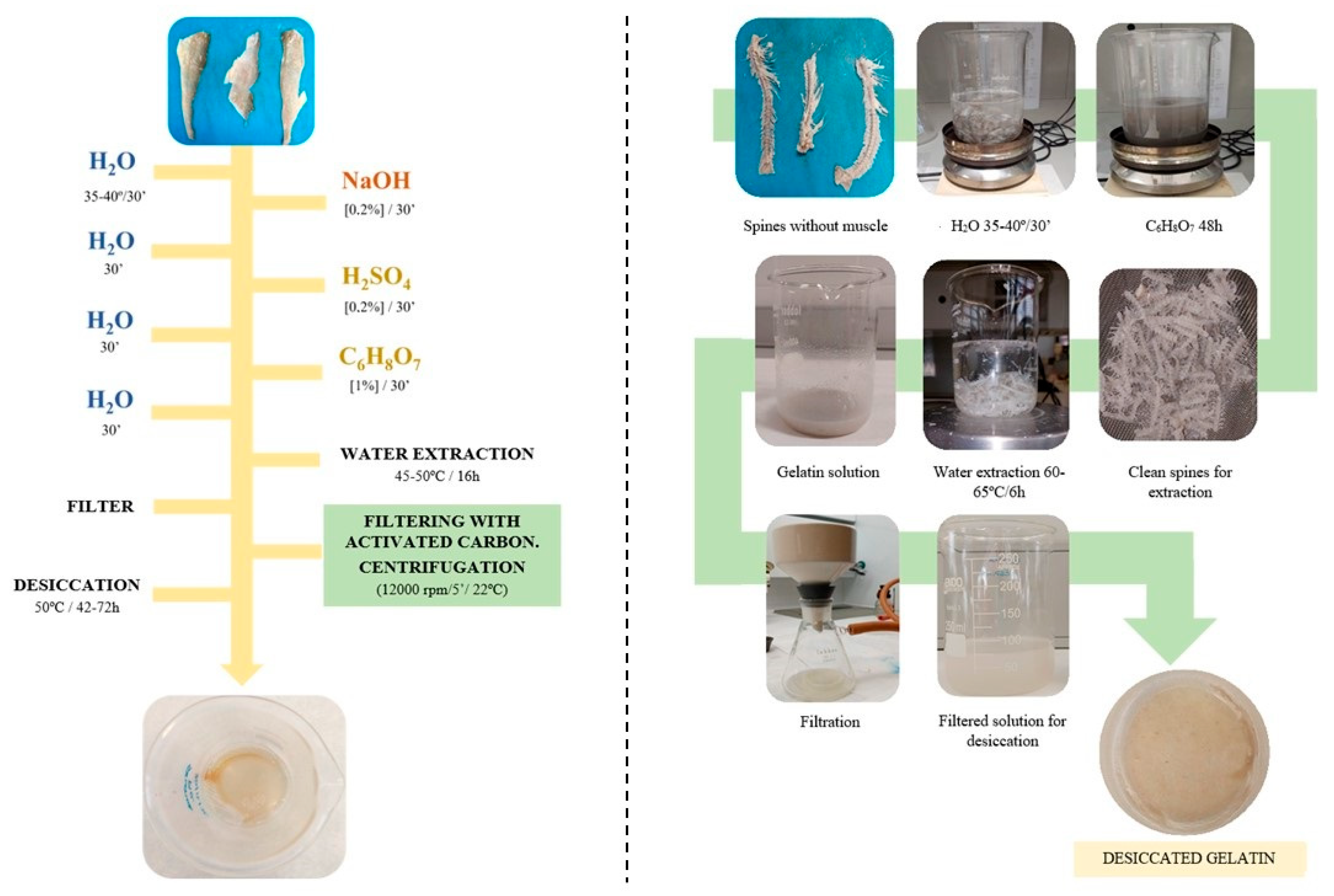 Gels Free FullText Optimization of the Extraction of Chitosan and