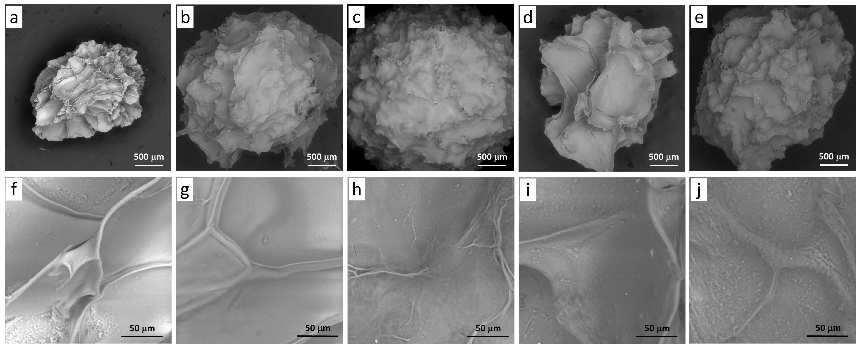 Gels 09 00256 g002 Gels 09 00256 g002