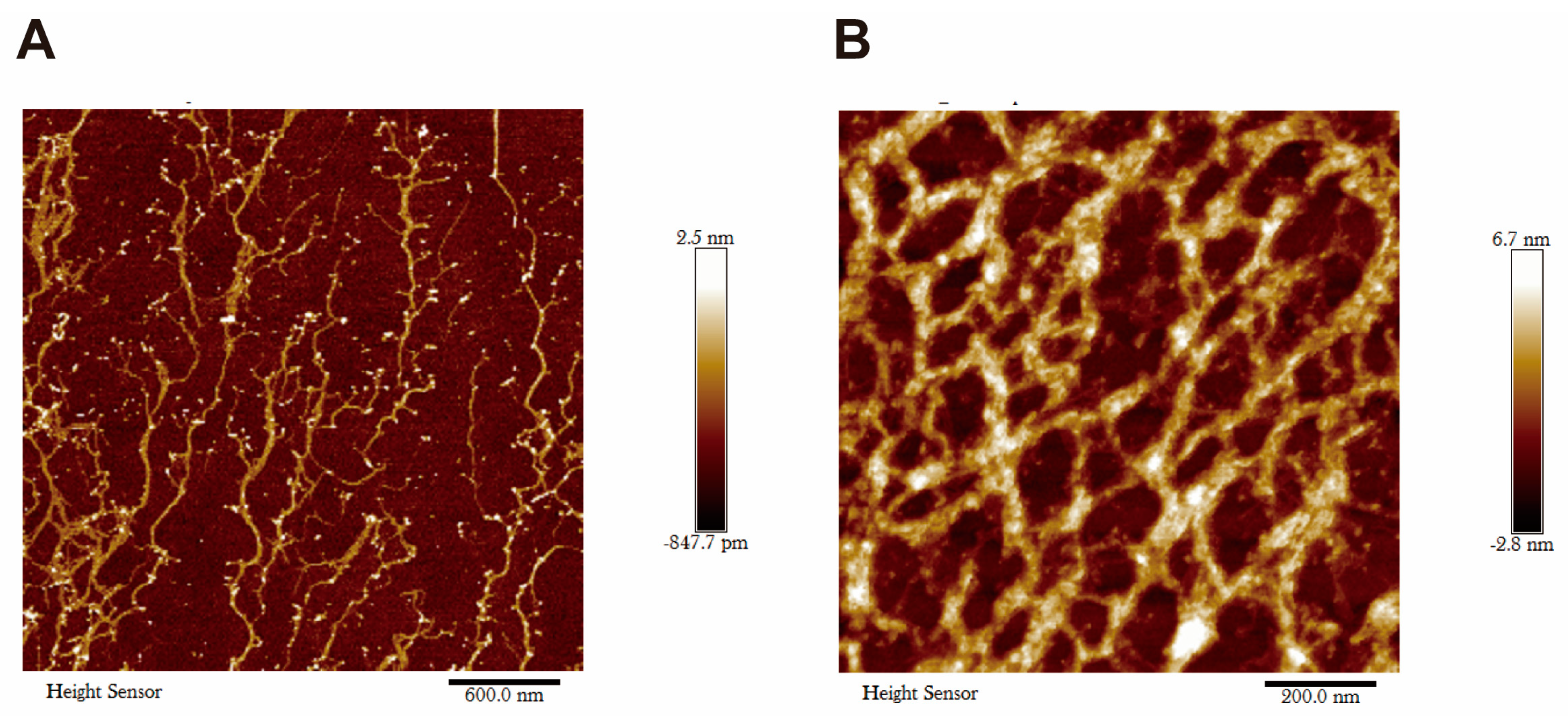 Gels 09 00265 g001 Gels 09 00265 g001