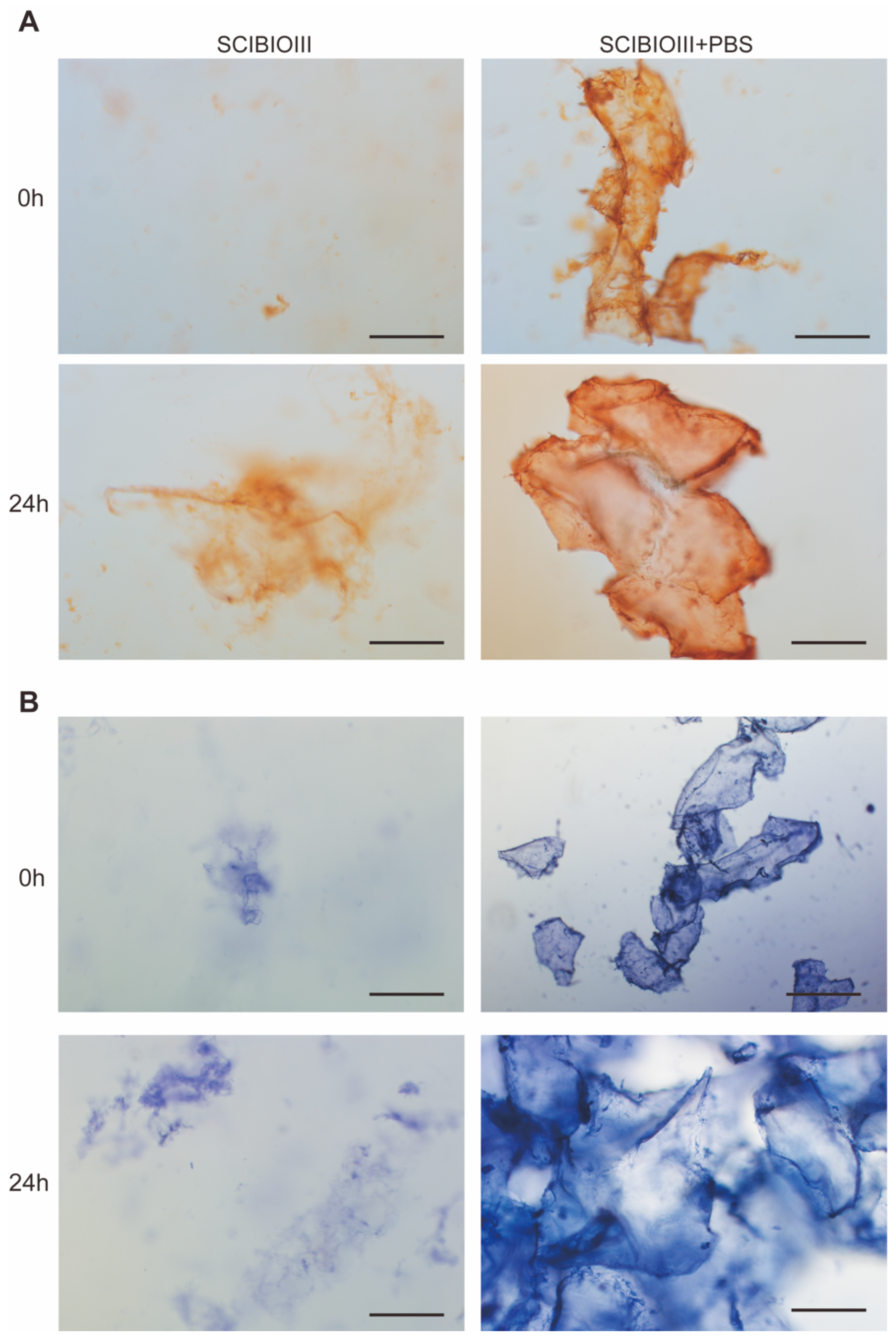 Gels 09 00265 g002 Gels 09 00265 g002