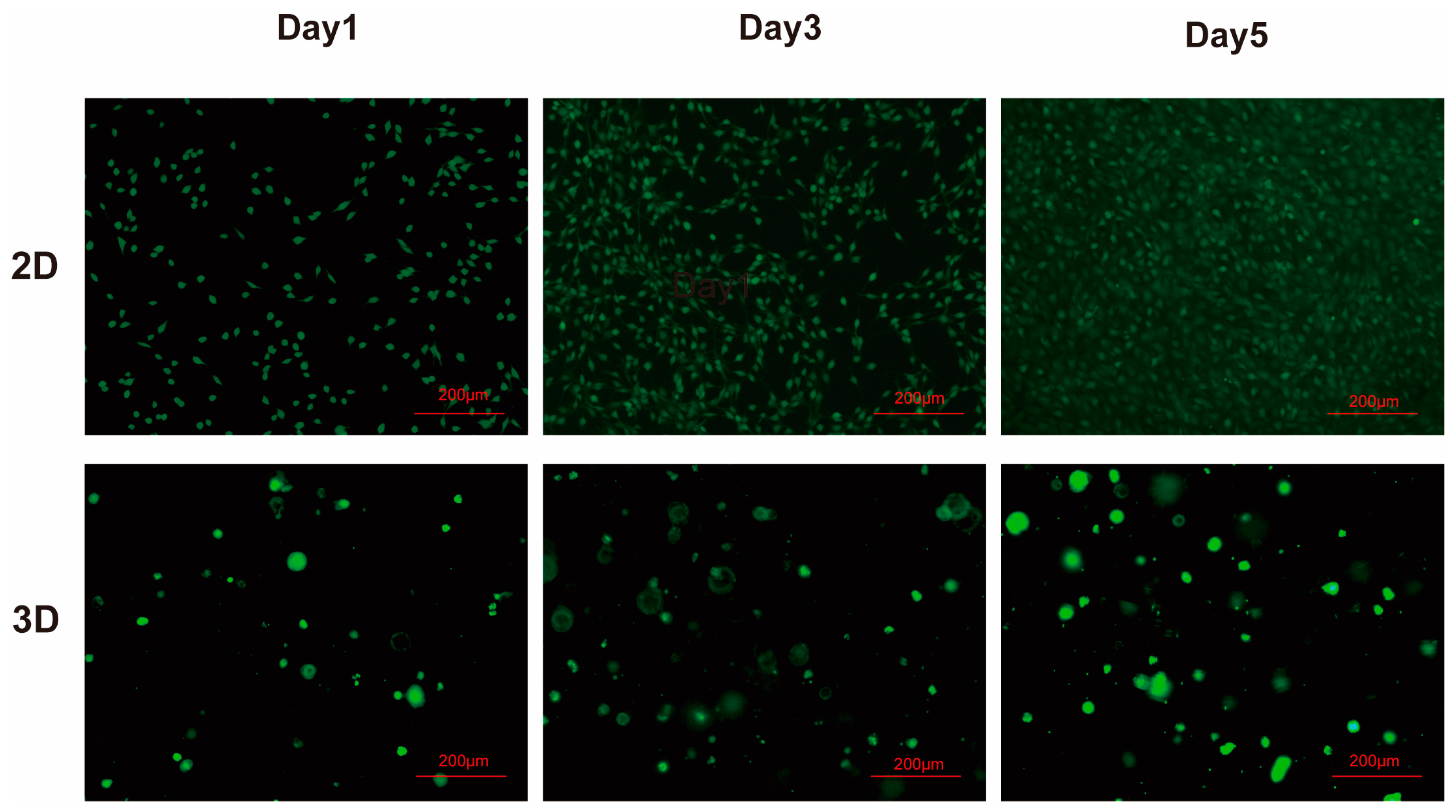 Gels 09 00265 g004 Gels 09 00265 g004
