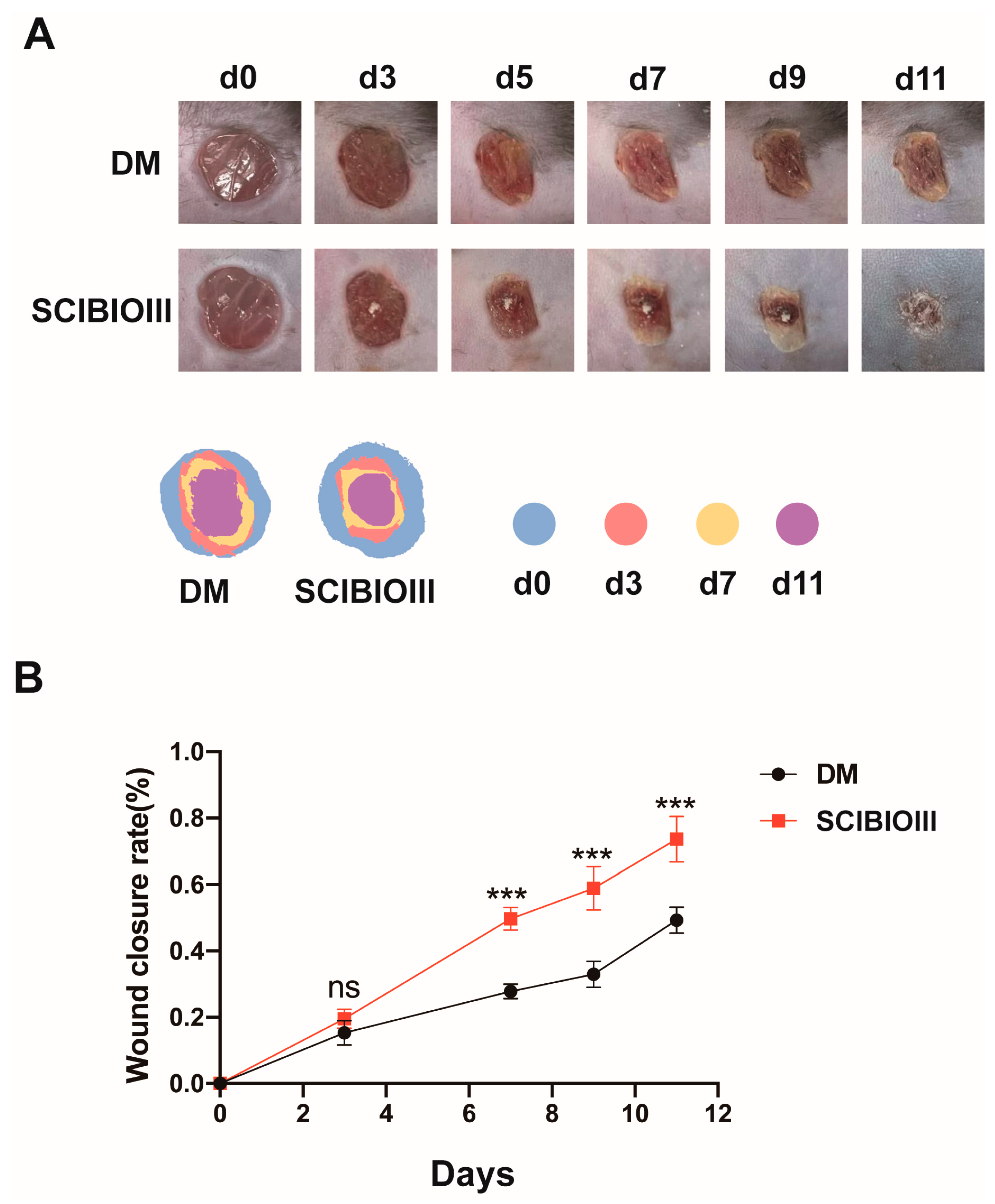 Gels 09 00265 g005 Gels 09 00265 g005