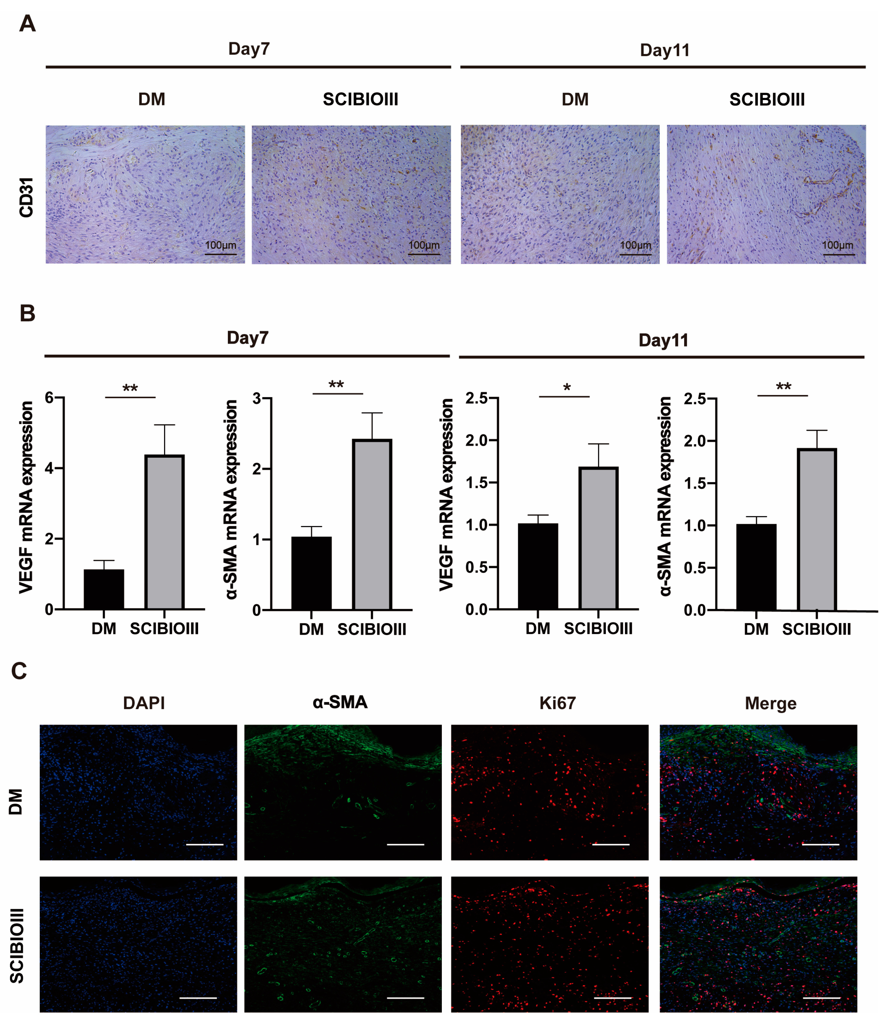 Gels 09 00265 g008 Gels 09 00265 g008