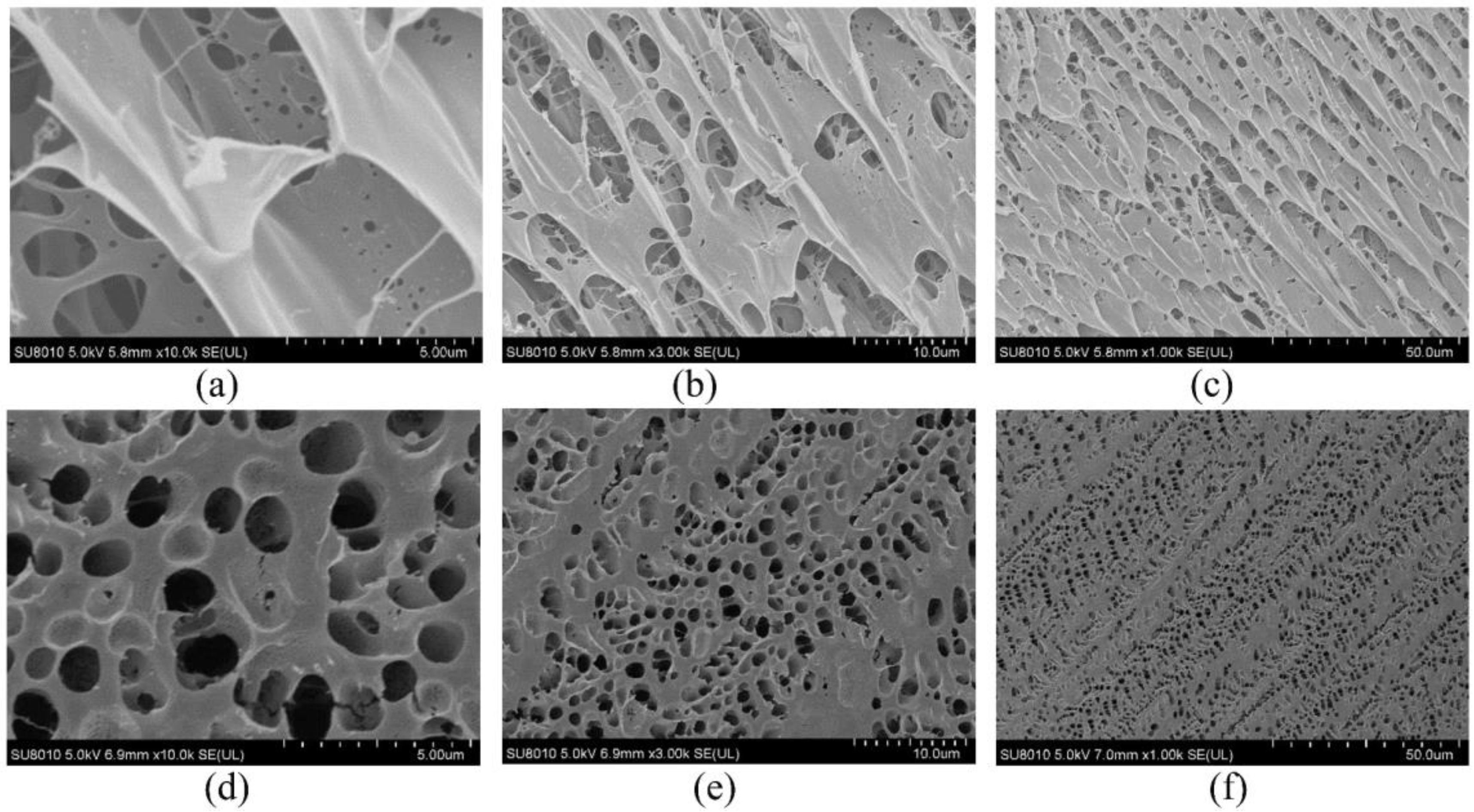 Gels 09 00268 g007 550