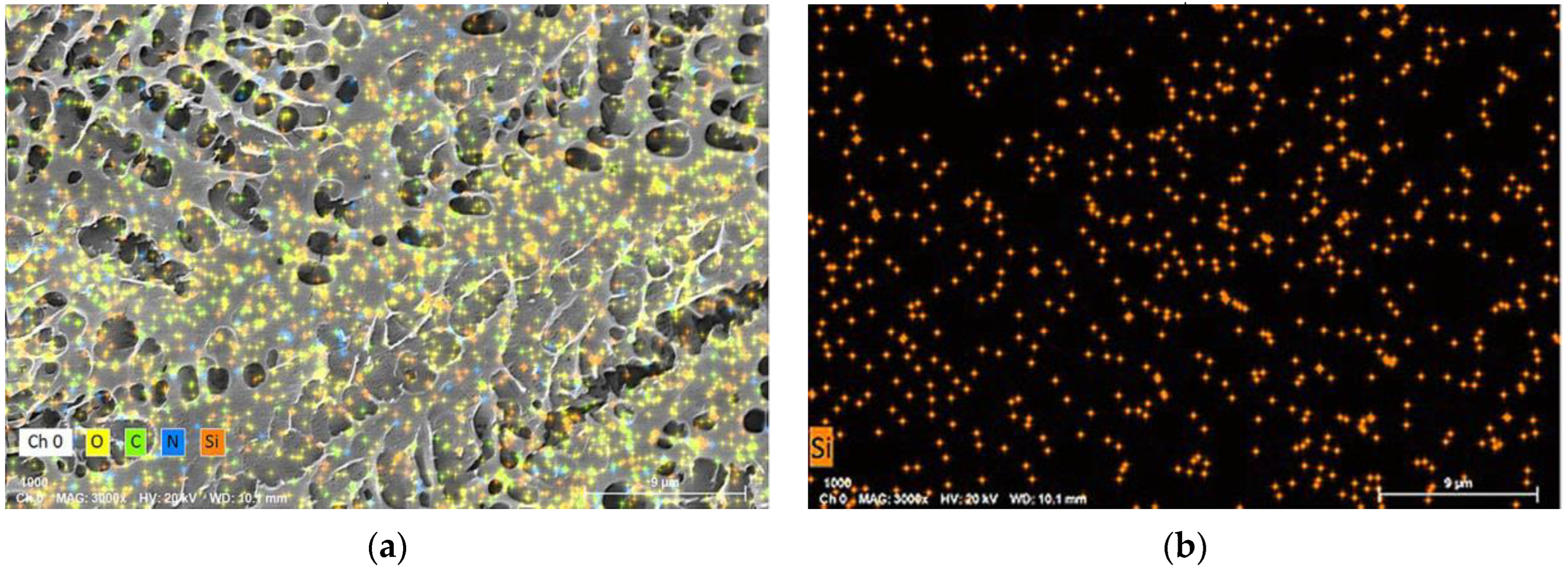 Gels 09 00268 g008 550