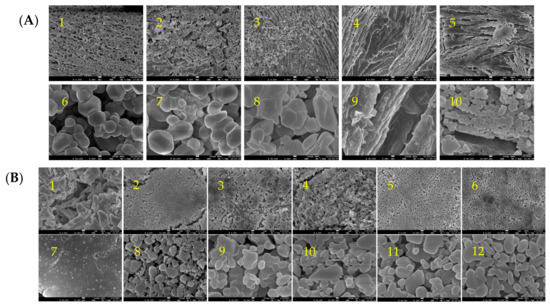 Effects of pH and NaCl on the Spatial Structure and Conformation 