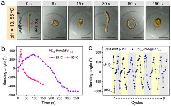 『ユウ』◇ An Anisotropic Hydrogel by Programmable Ionic Crosslinking