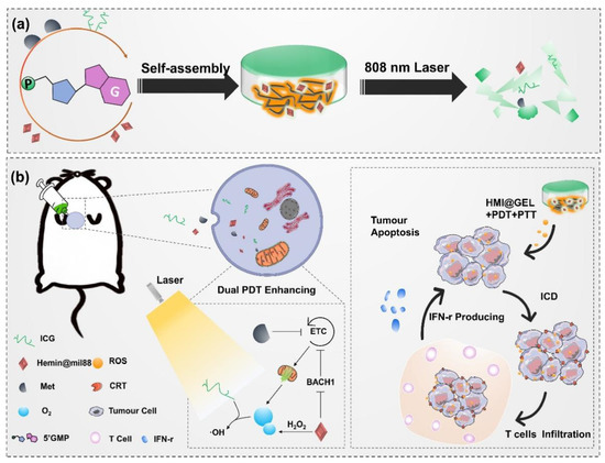 Recent Advances in Hydrogel-Based Phototherapy for Tumor Treatment