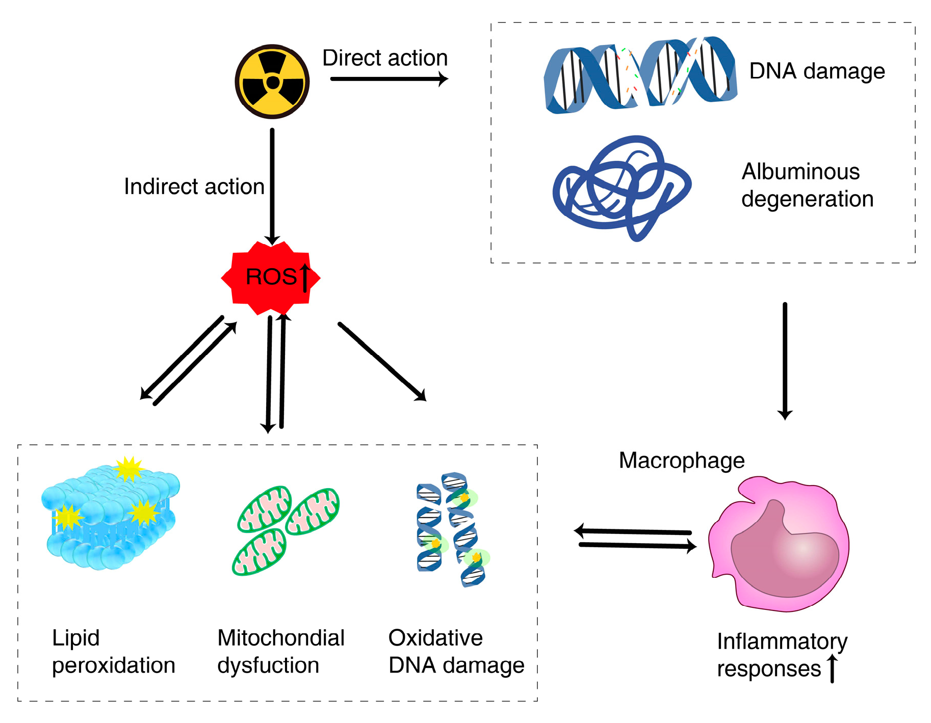 Gels 09 00301 g002 Gels 09 00301 g002
