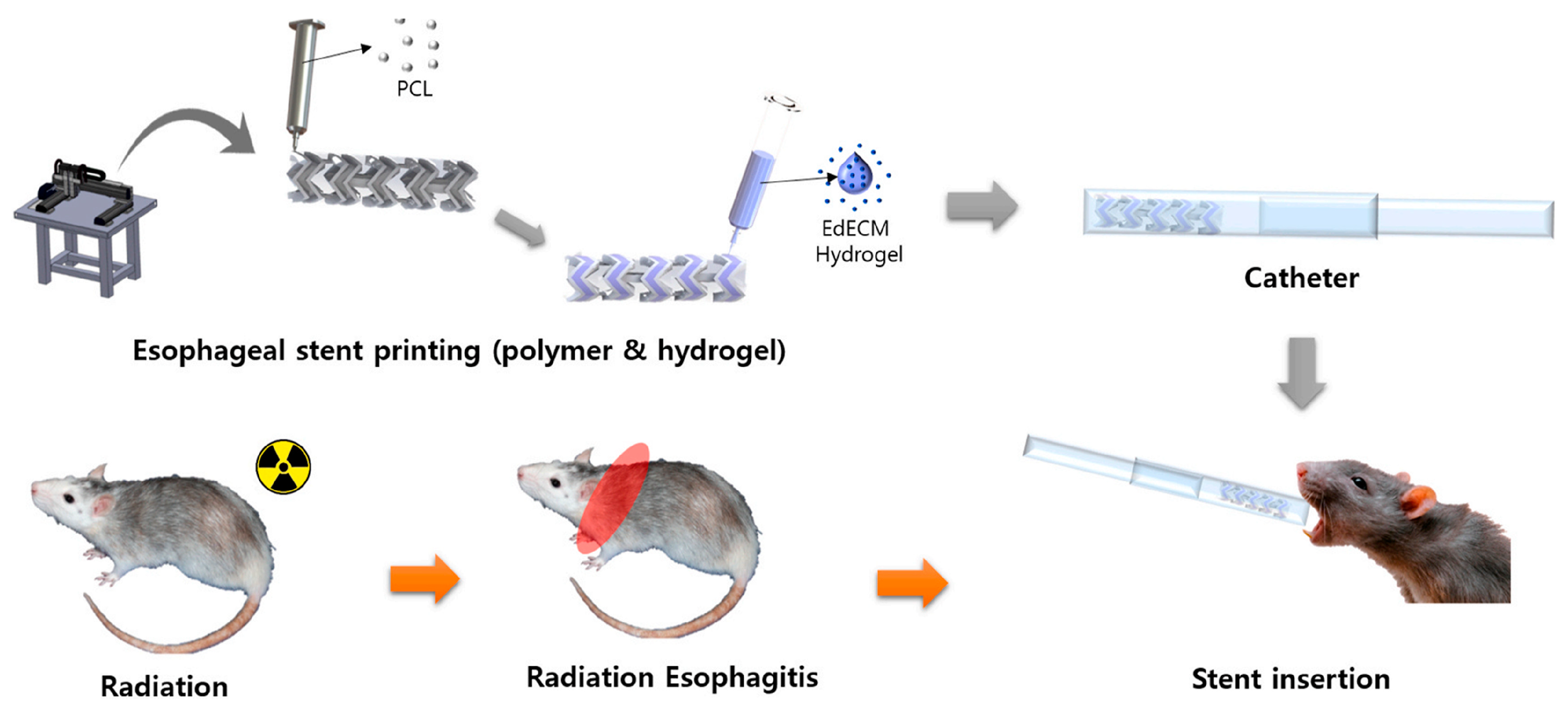 Gels 09 00301 g005 Gels 09 00301 g005