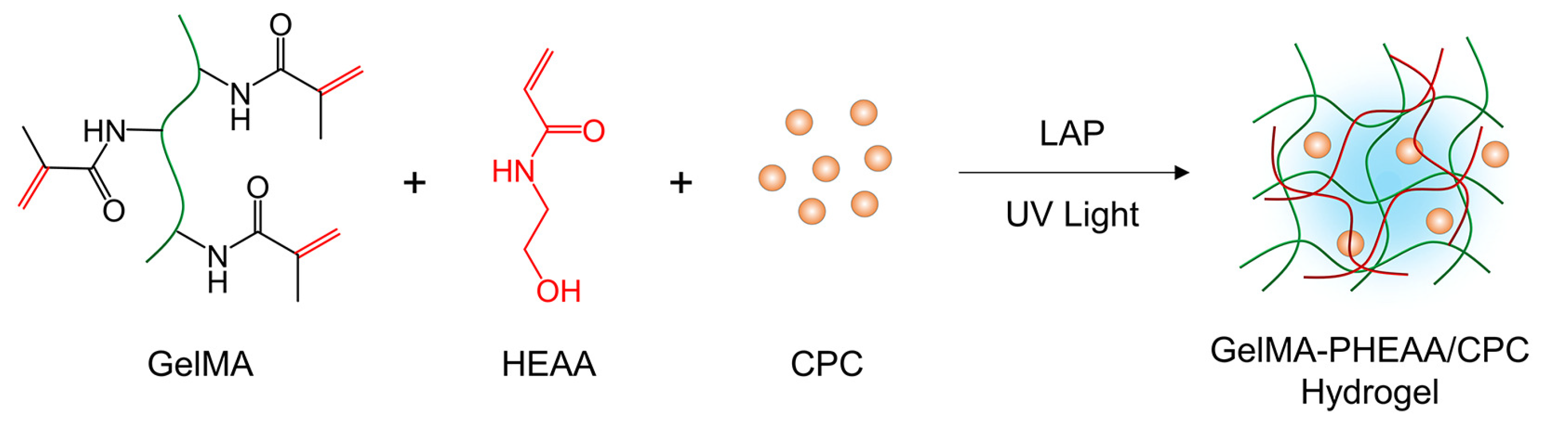 Gels 09 00302 sch001