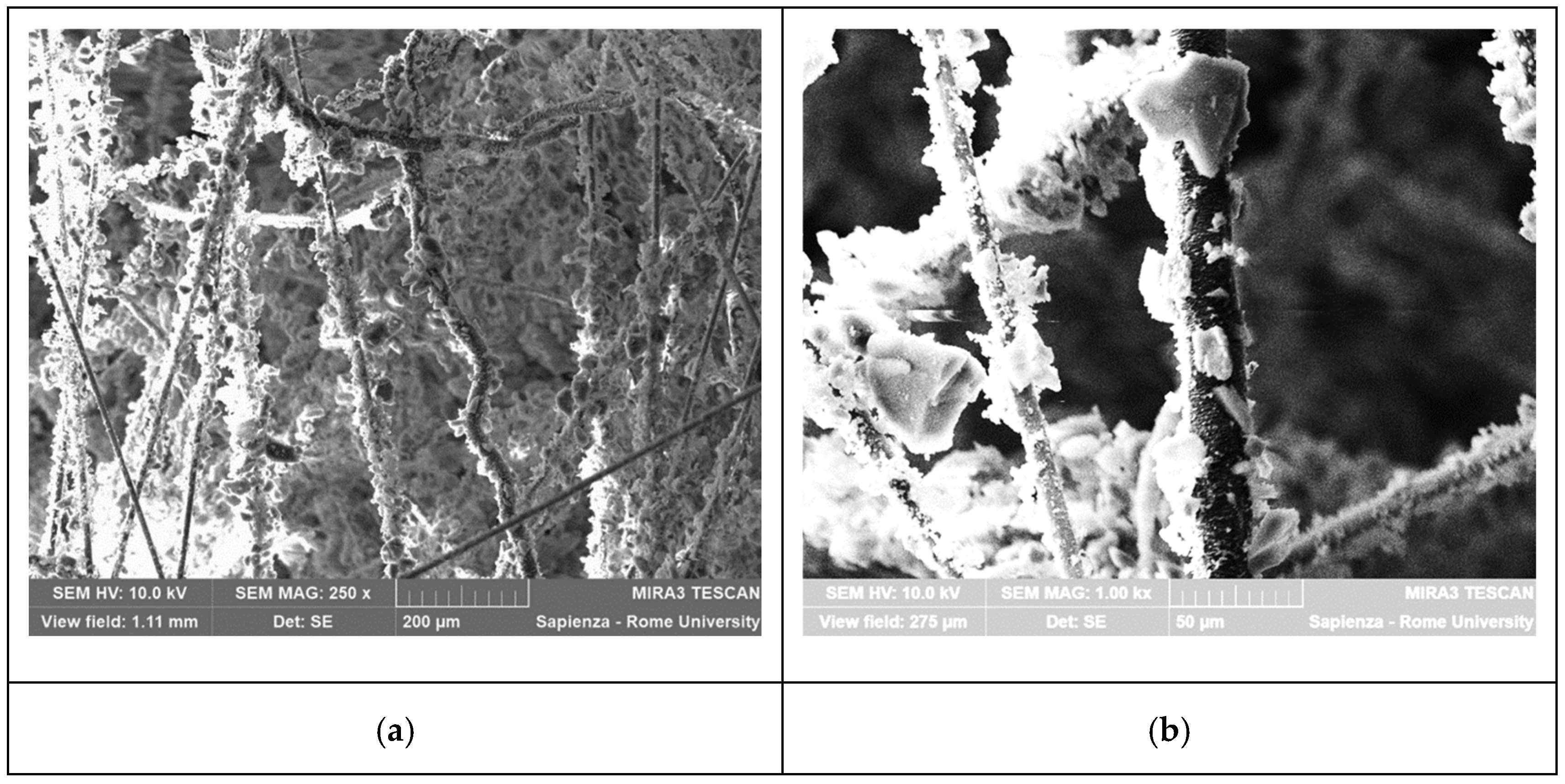 Gels 09 00307 g012 Gels 09 00307 g012