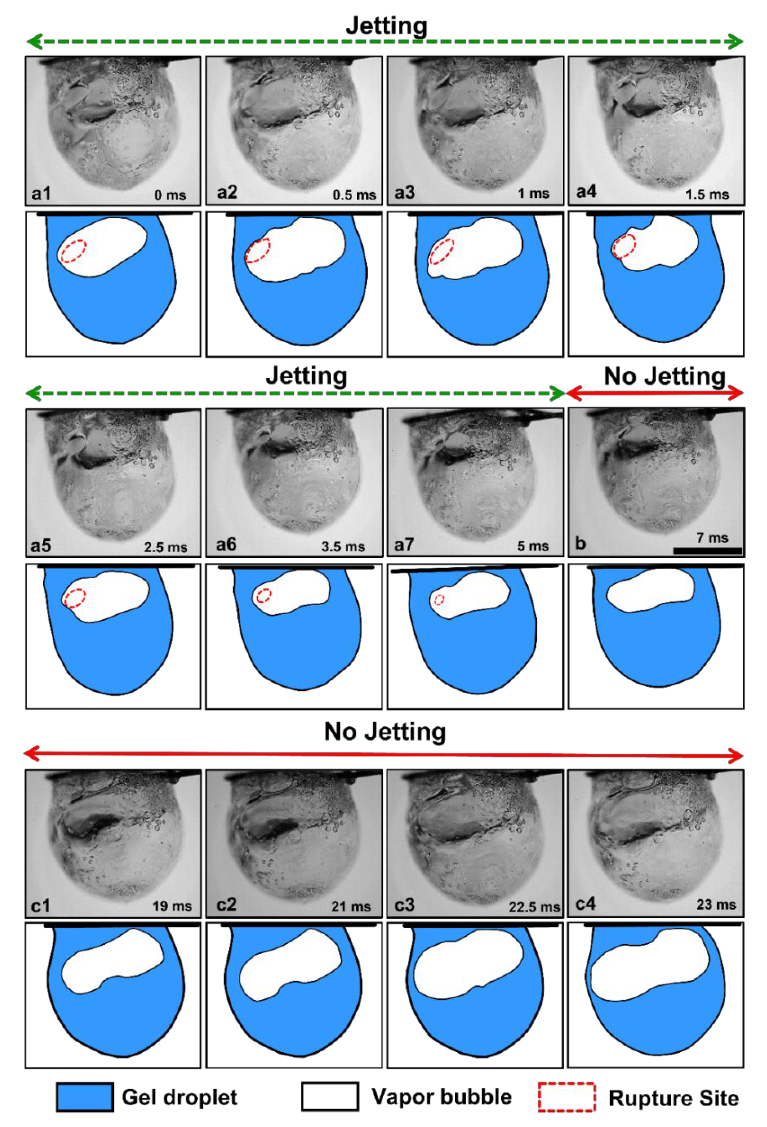 Gels 09 00309 g002 Gels 09 00309 g002
