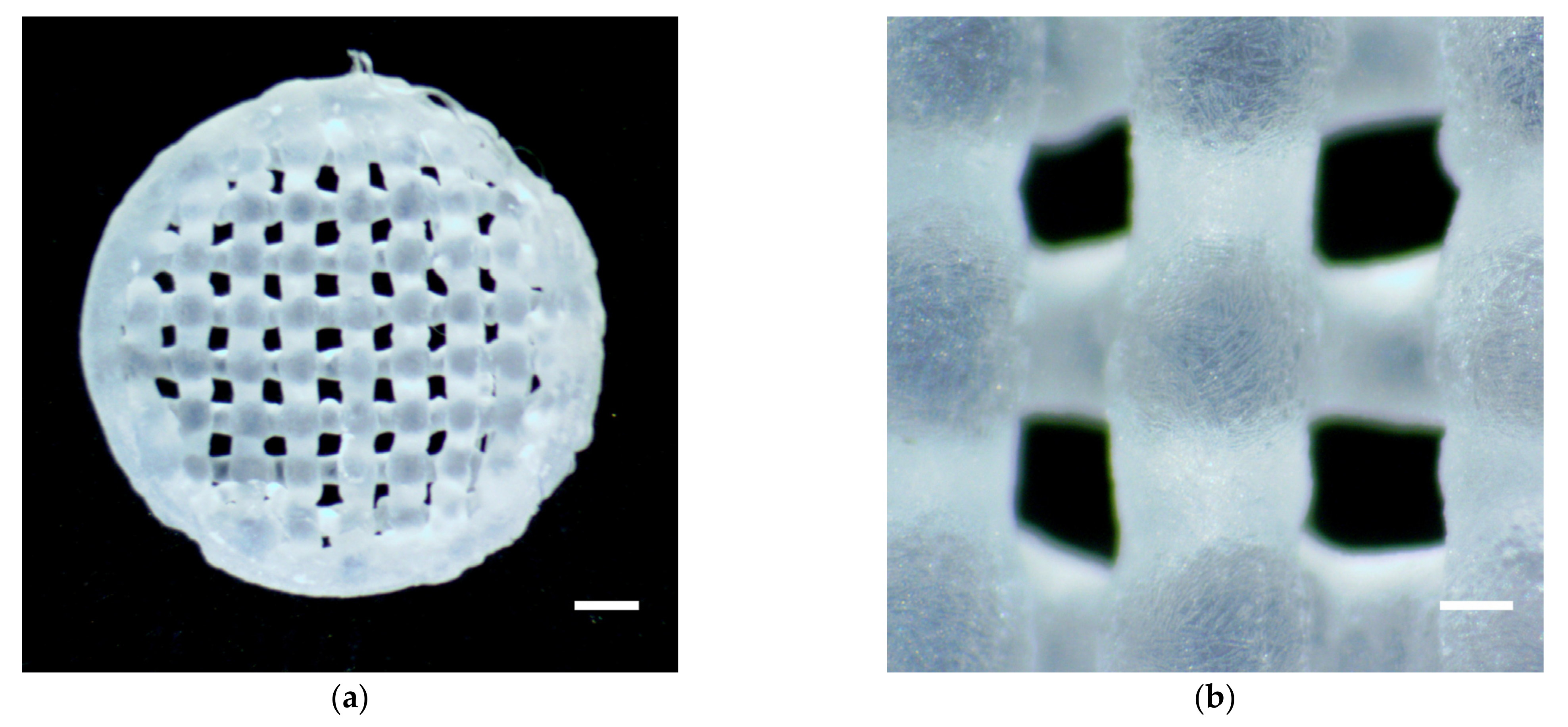 Gels 09 00315 g001 Gels 09 00315 g001