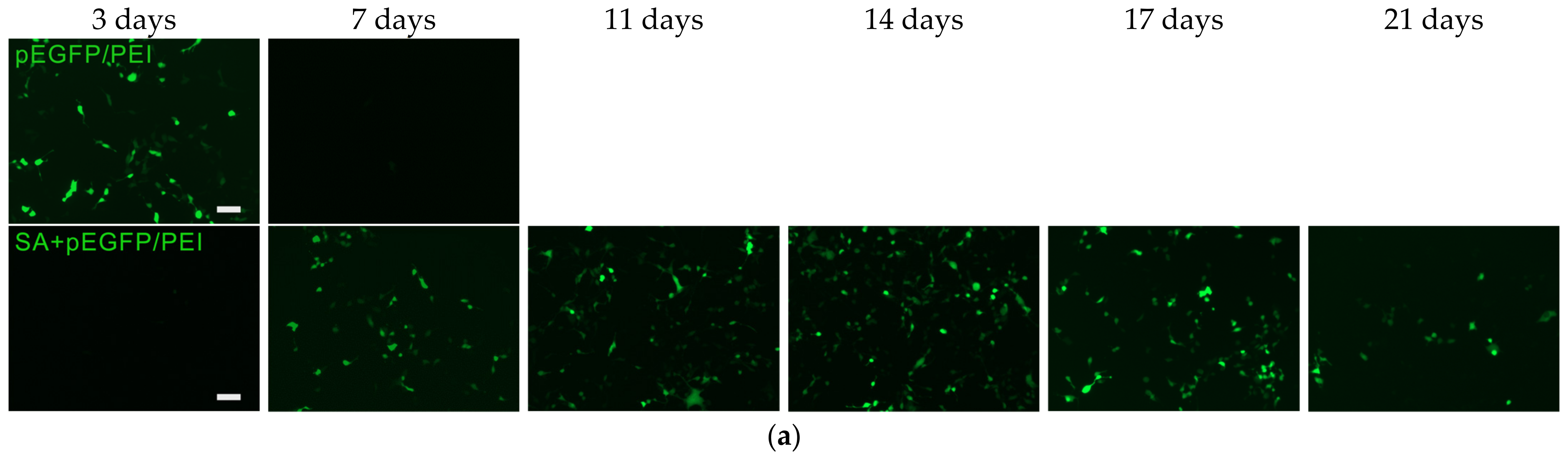 Gels 09 00315 g002a Gels 09 00315 g002a