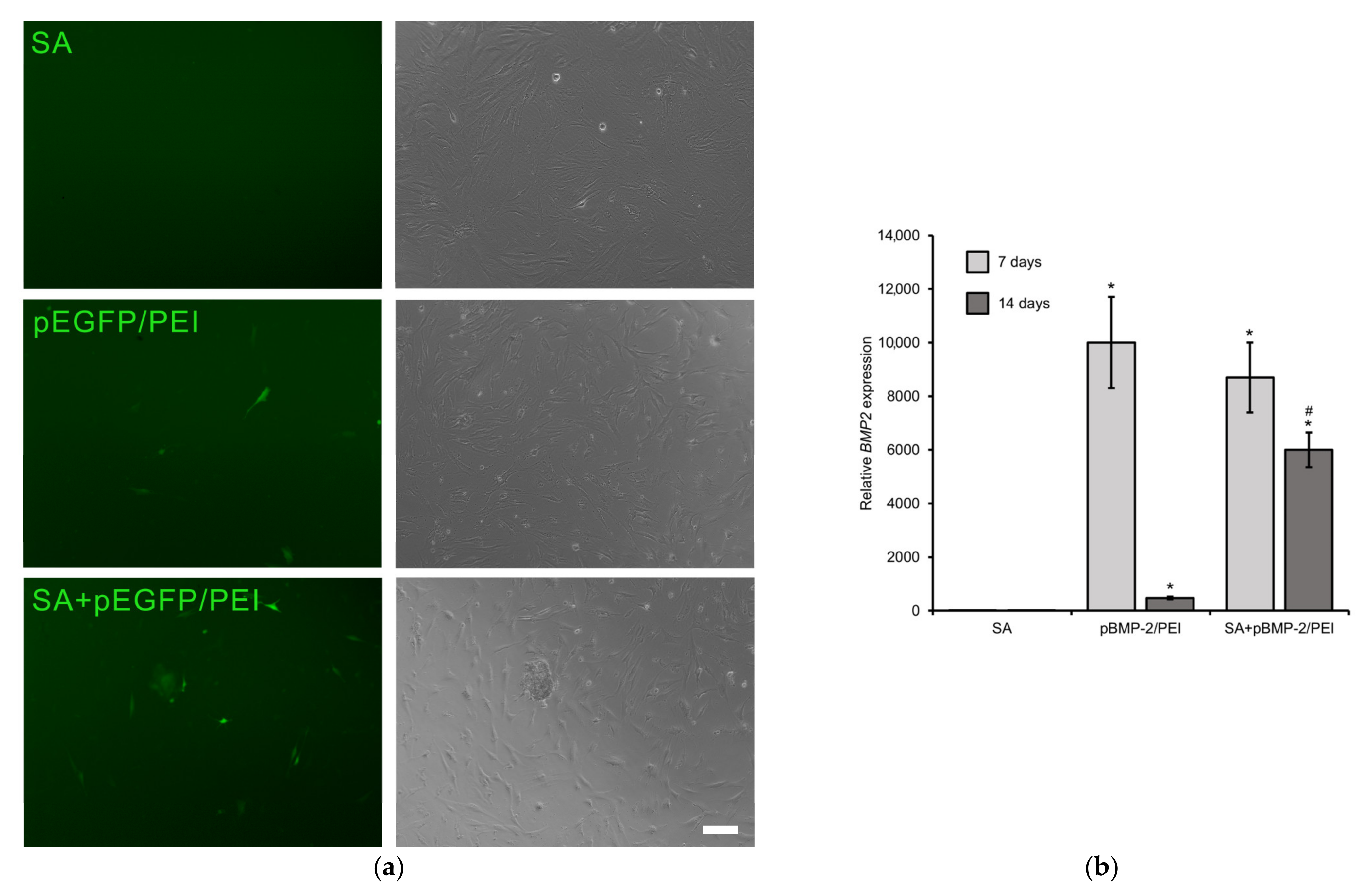 Gels 09 00315 g003 Gels 09 00315 g003