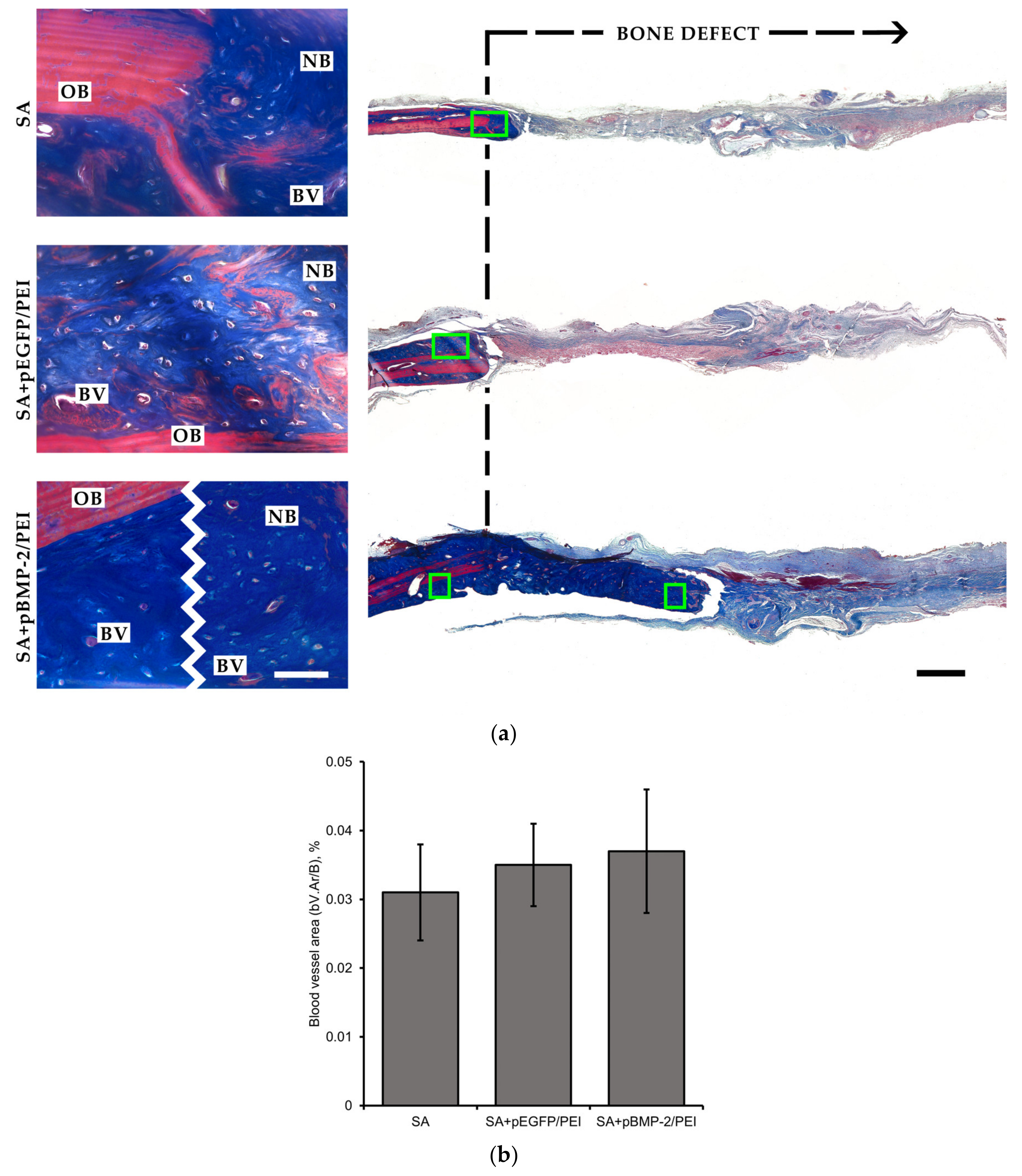 Gels 09 00315 g005 Gels 09 00315 g005