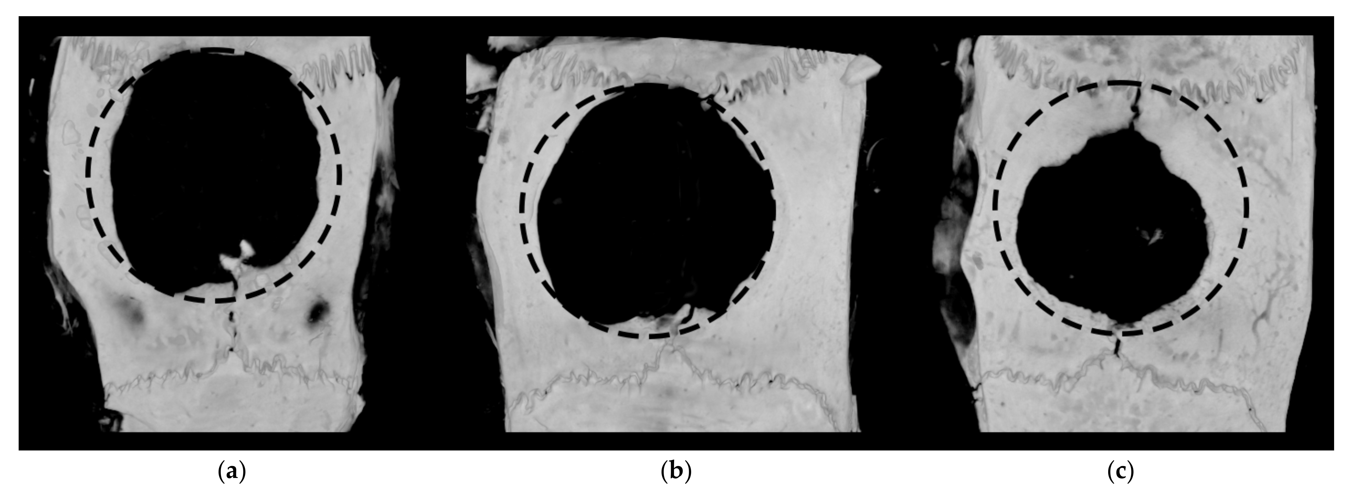 Gels 09 00315 g006 Gels 09 00315 g006