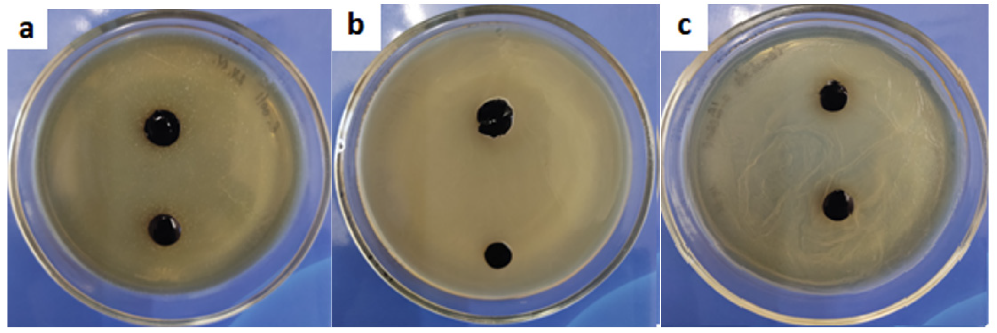 Gels 09 00330 g008 Gels 09 00330 g008