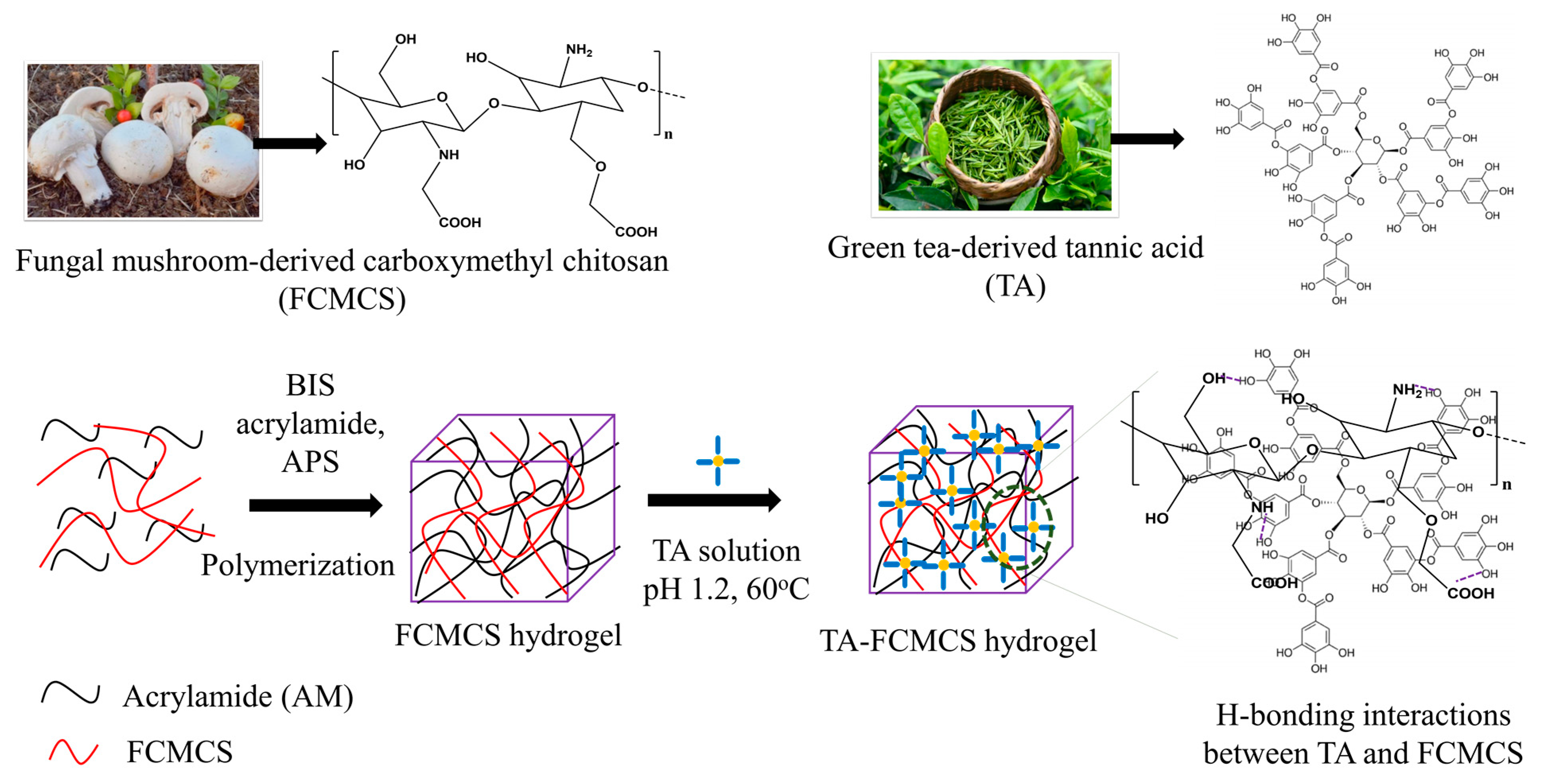 Gels 09 00354 sch001 Gels 09 00354 sch001