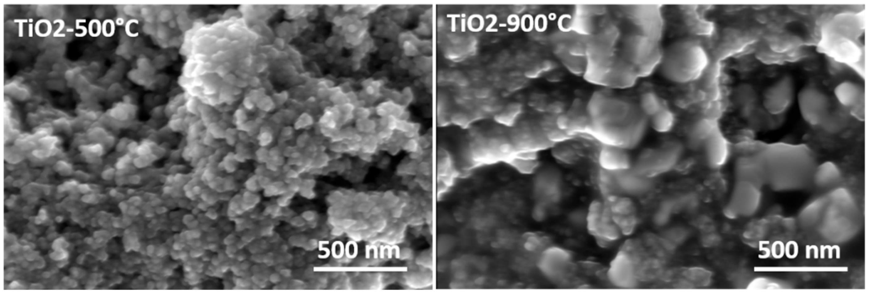 Gels 09 00357 g005a Gels 09 00357 g005a