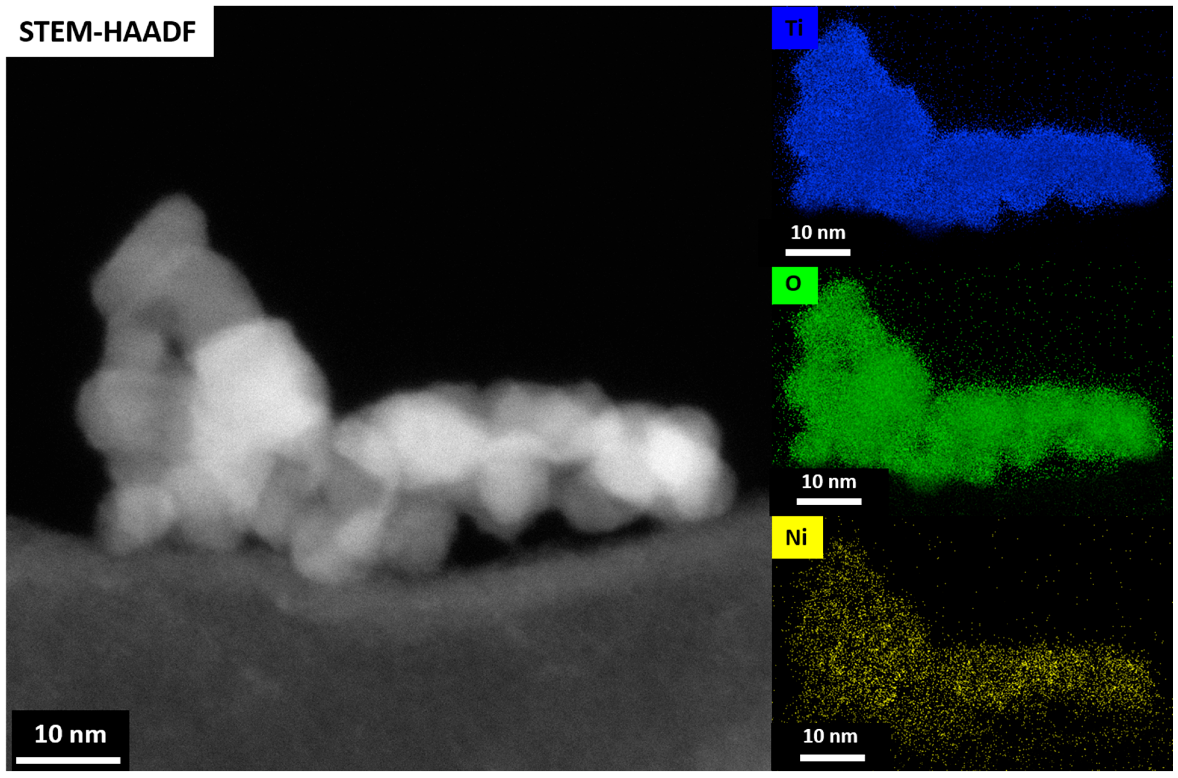 Gels 09 00357 g013 Gels 09 00357 g013