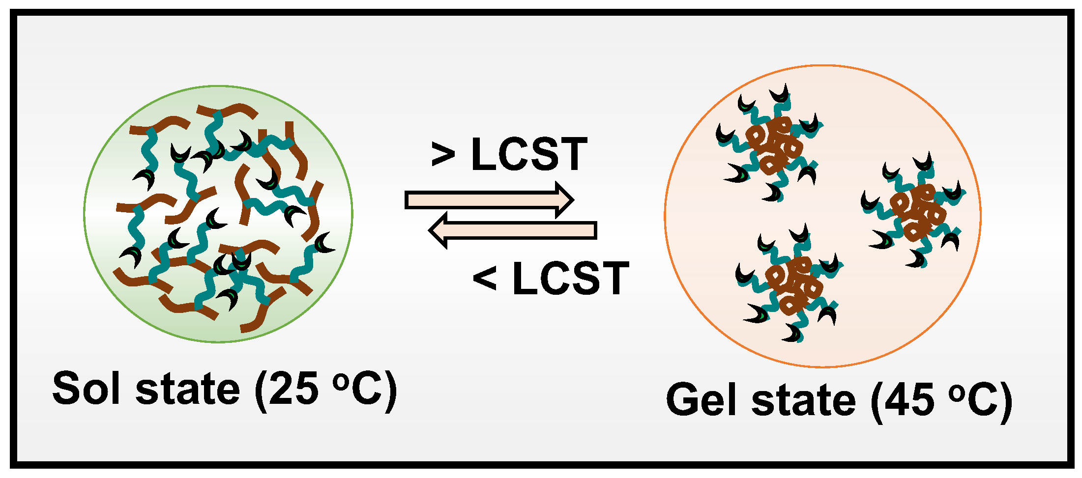 Gels 09 00363 sch001