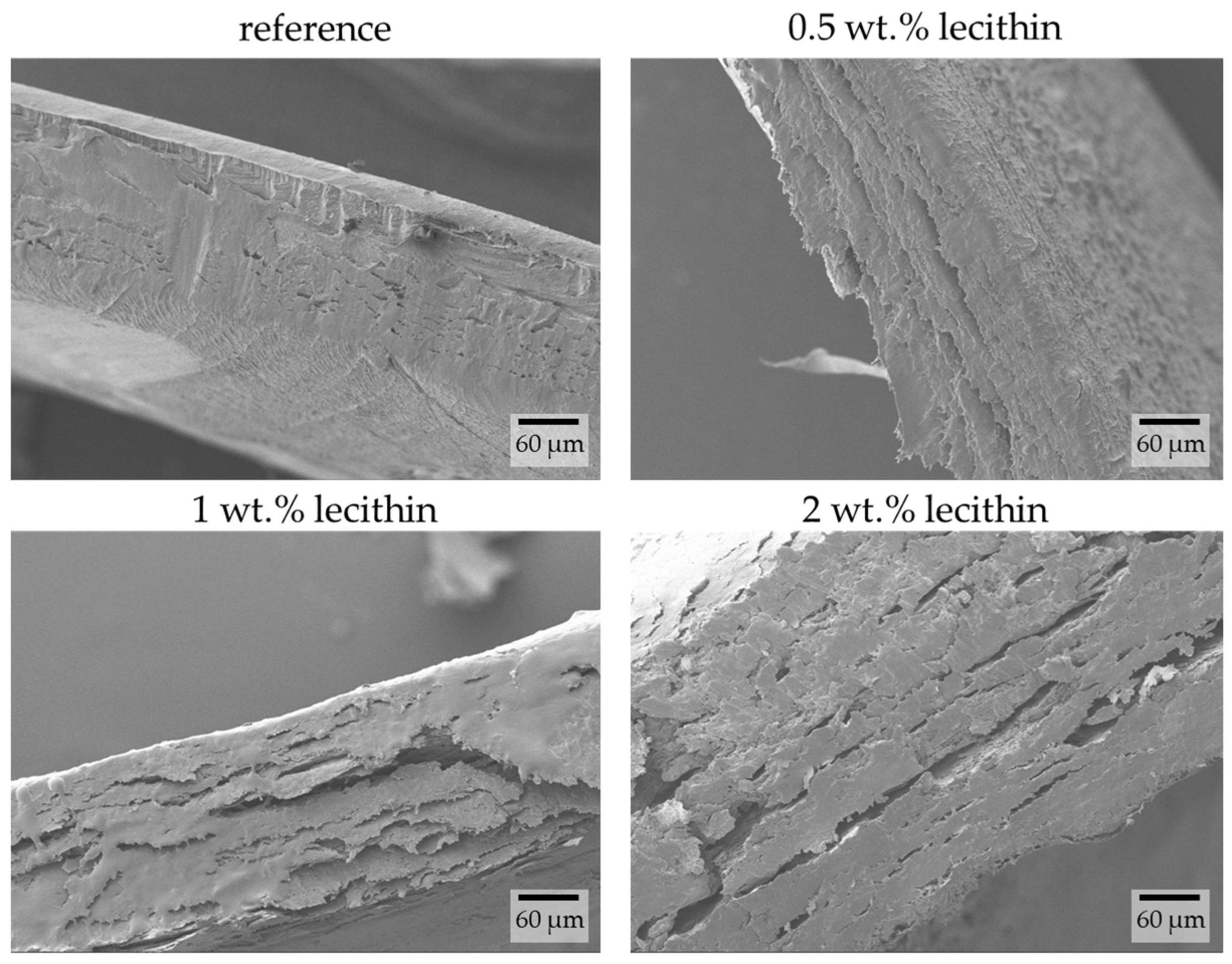 Gels 09 00367 g010 Gels 09 00367 g010