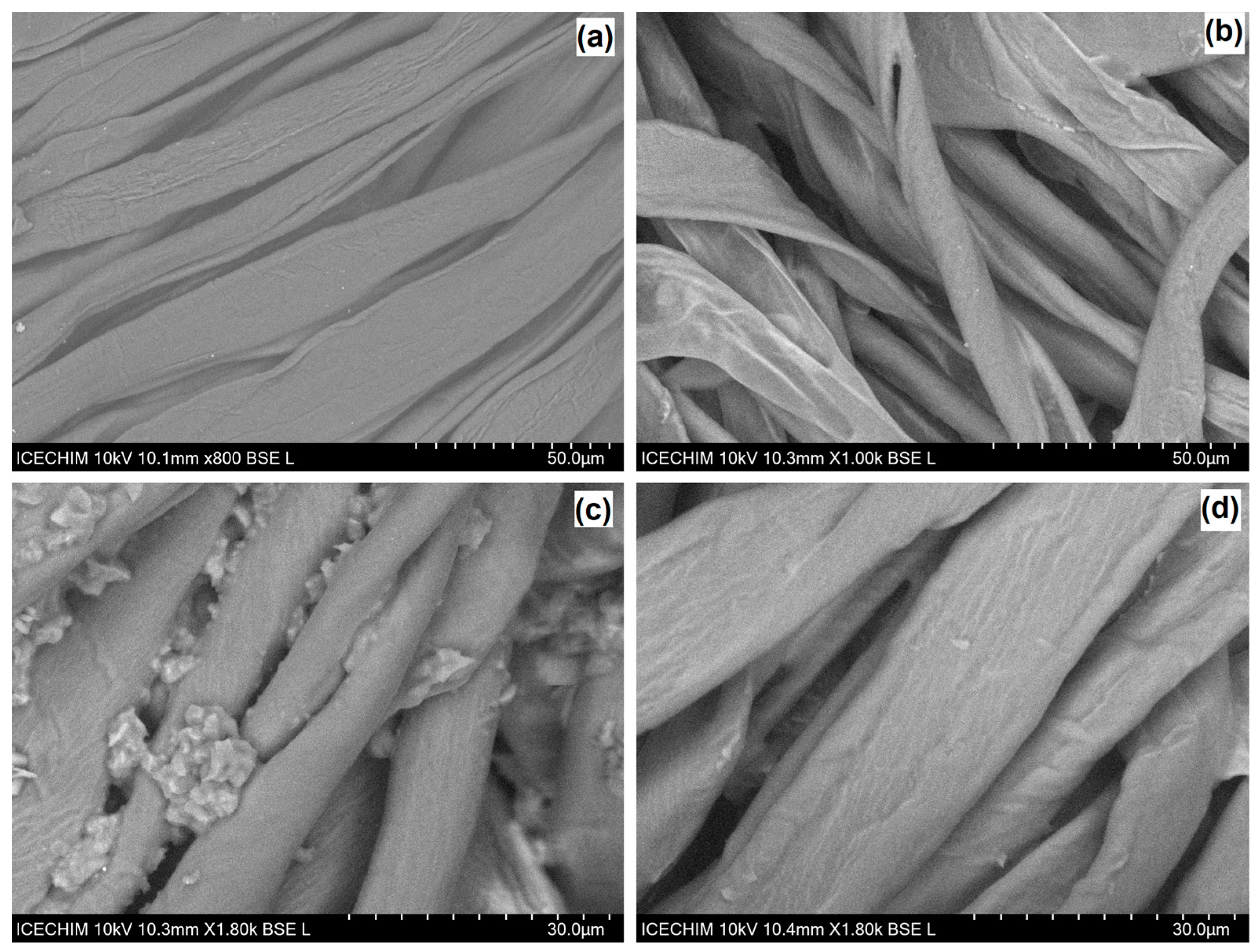 Gels 09 00369 g003 Gels 09 00369 g003